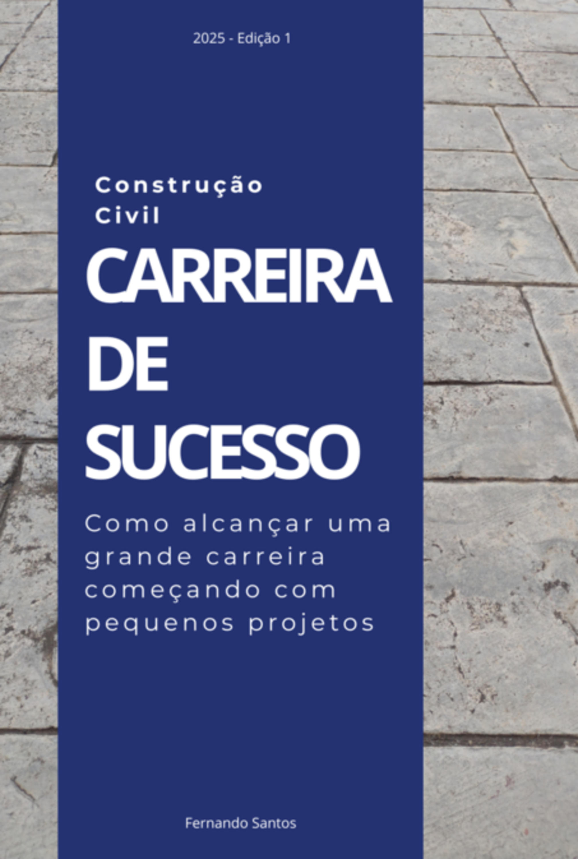 Carreira De Sucesso