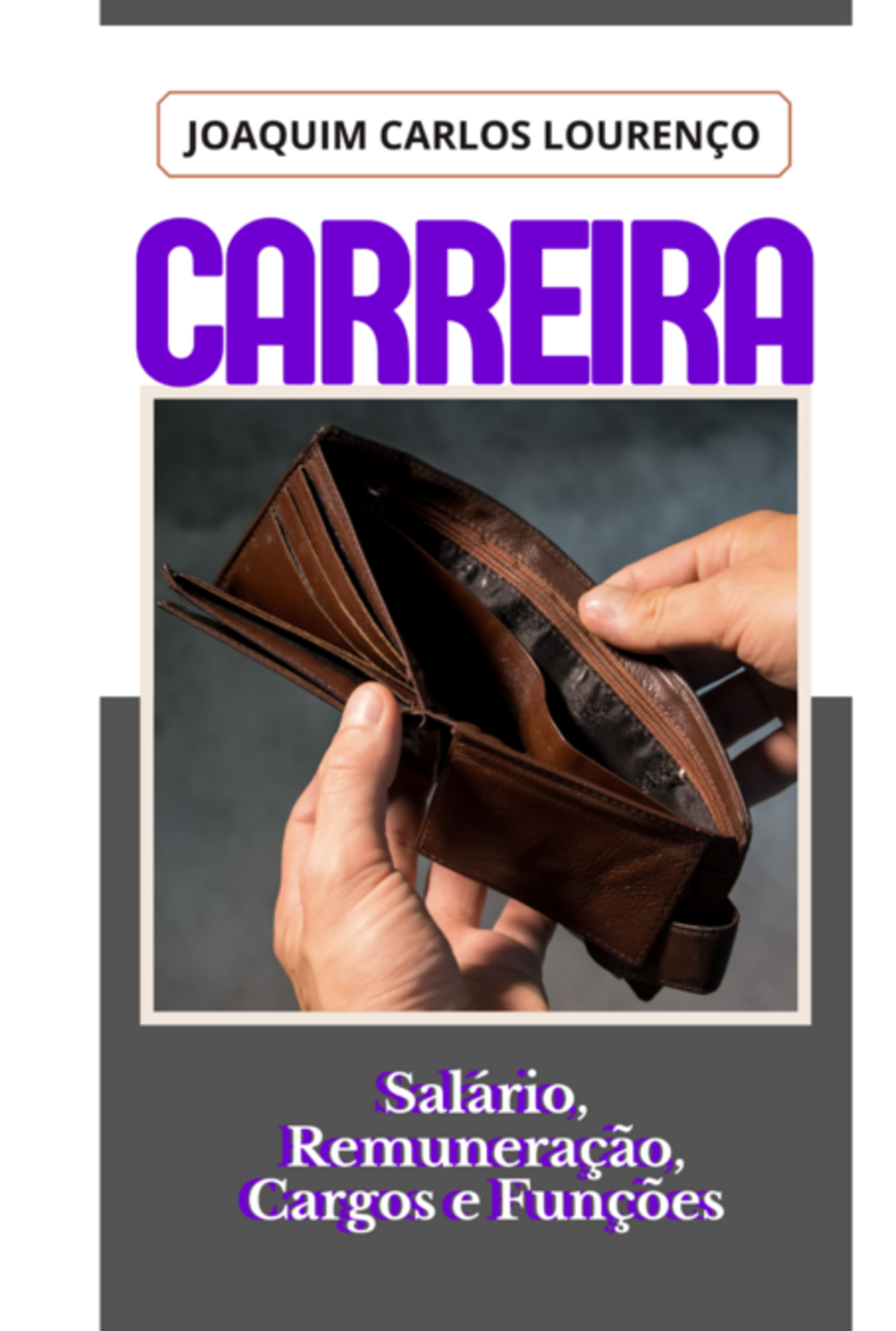 Carreira: Salário, Remuneração, Cargos E Funções