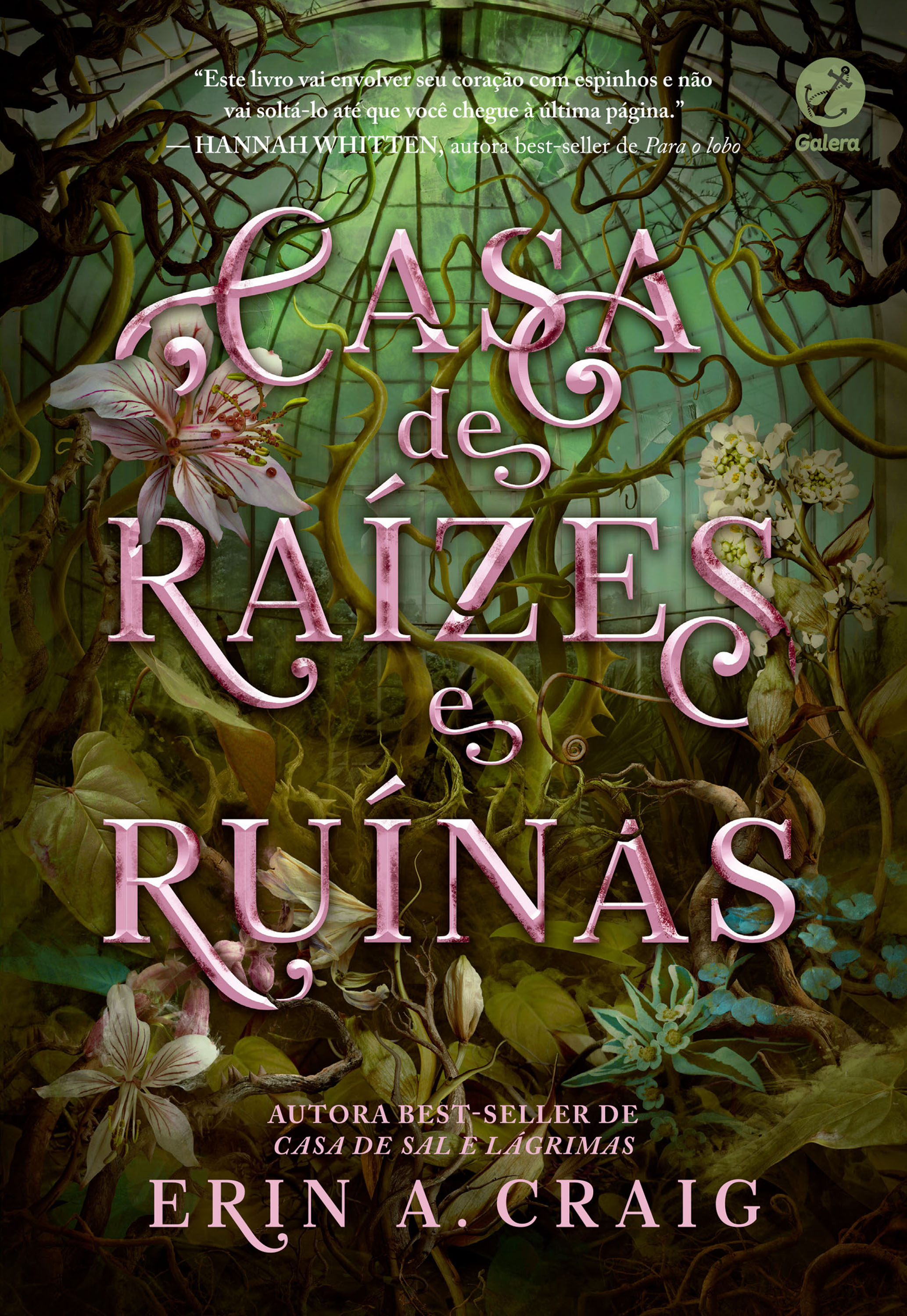 Casa de raízes e ruínas (Vol. 2 Irmãs do Sal)