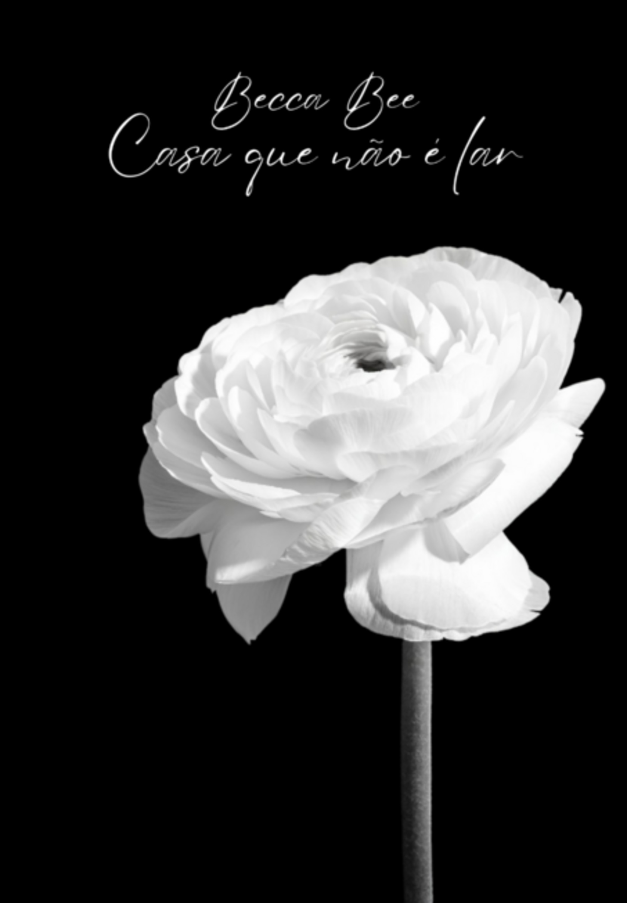 Casa Que Não É Lar