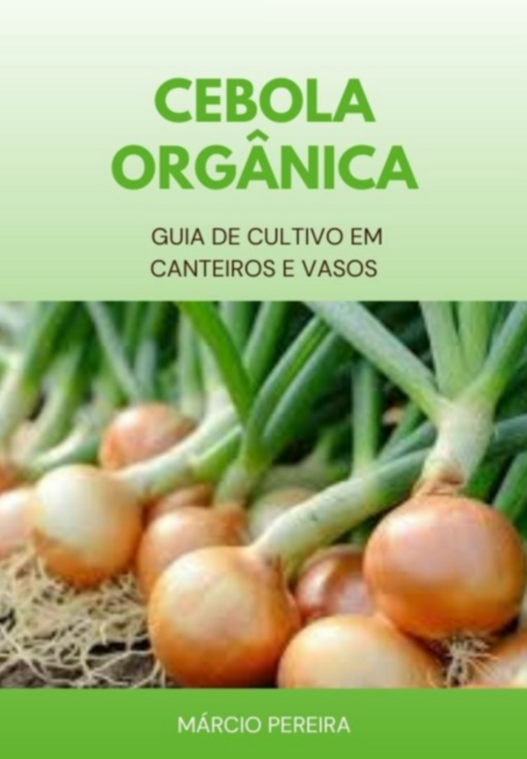 Cebola Orgânica