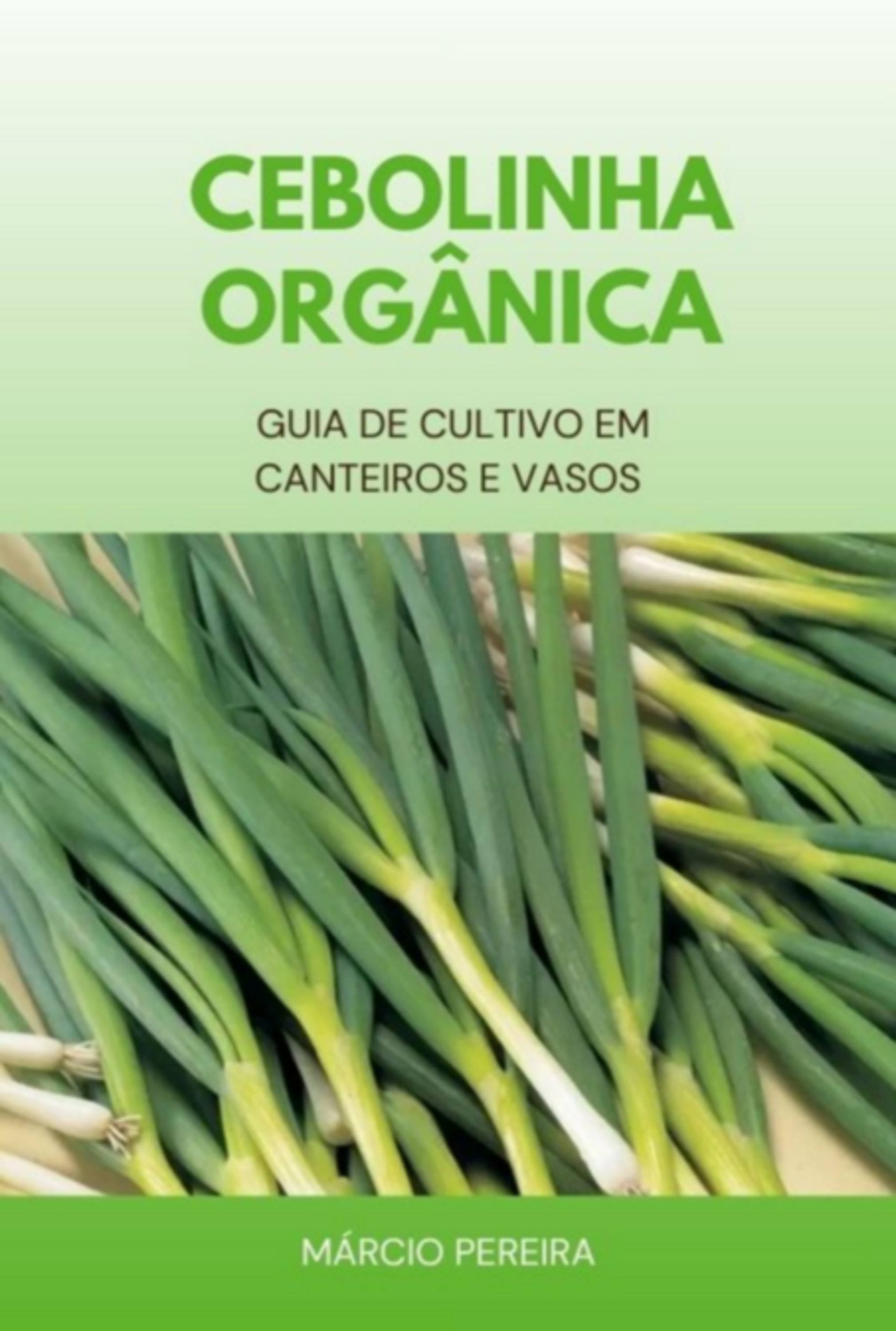 Cebolinha Orgânica