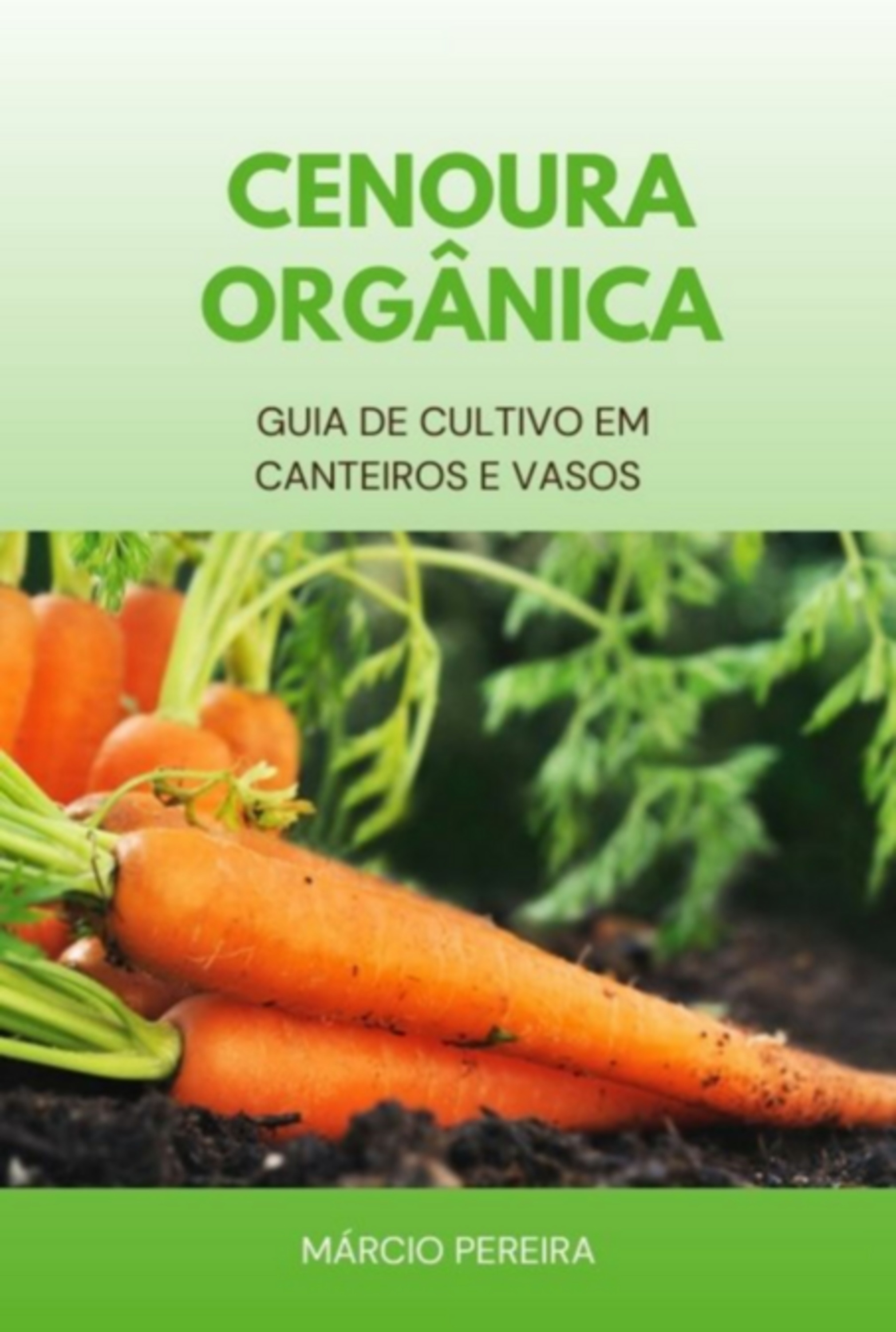 Cenoura Orgânica