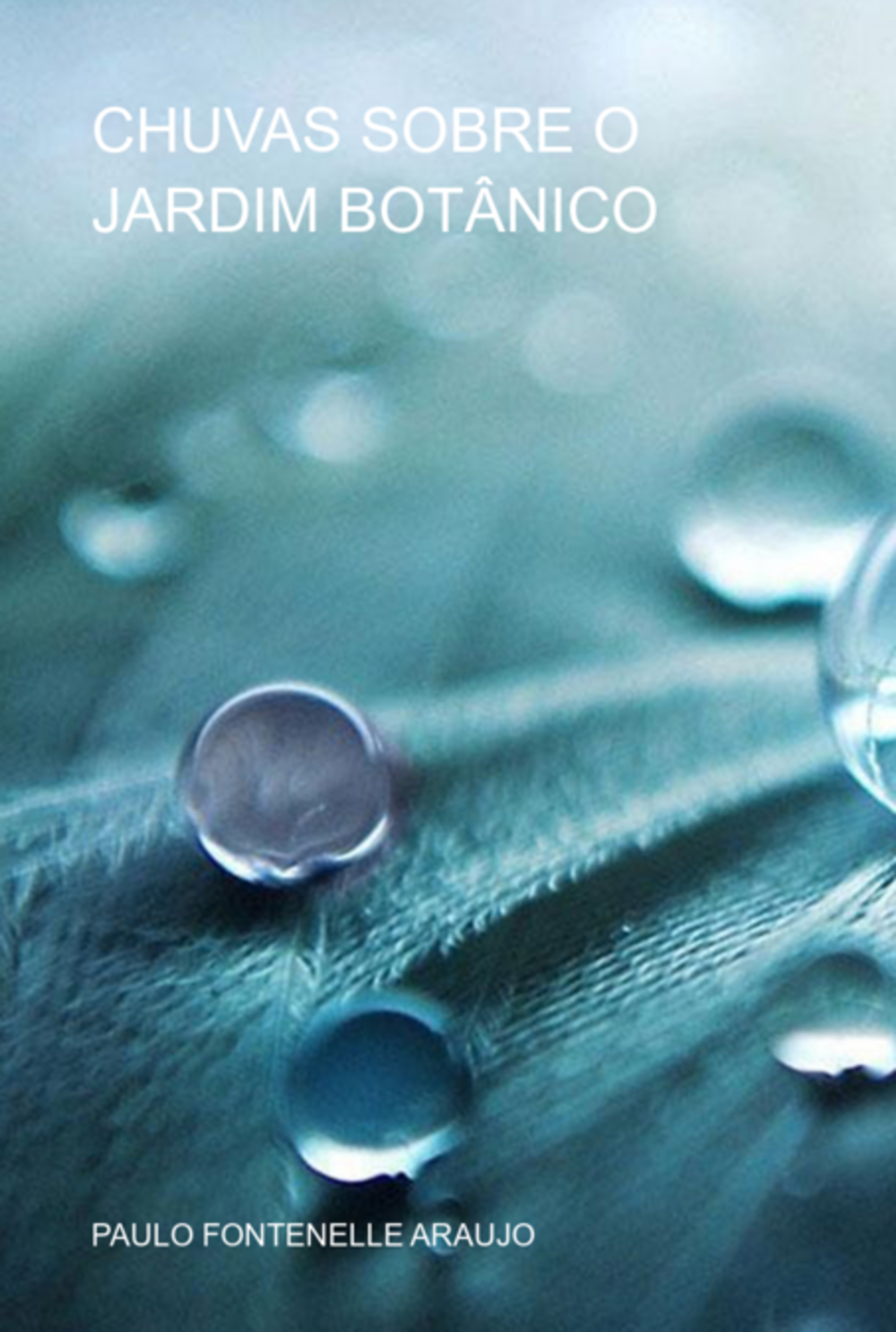 Chuvas Sobre O Jardim Botânico