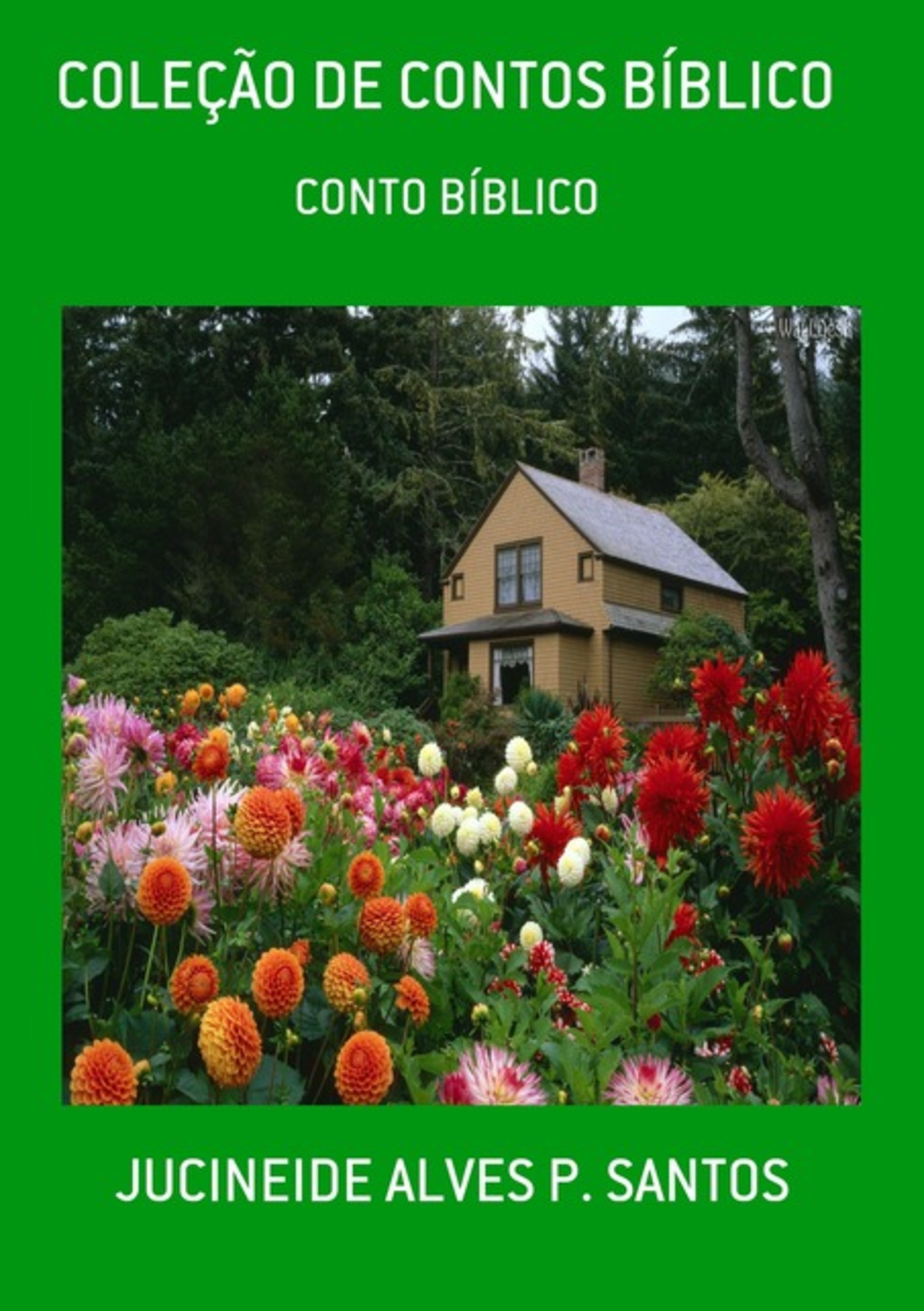 Coleção De Contos Bíblico