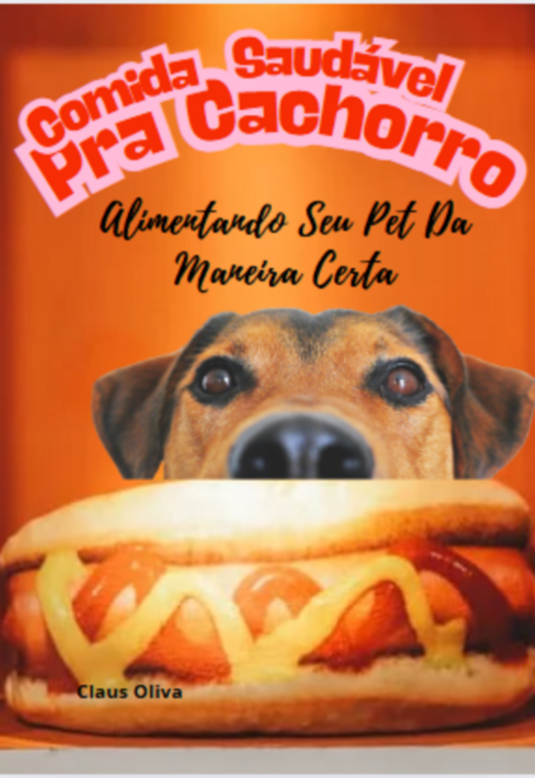 Comida Saudável Pra Cachorro