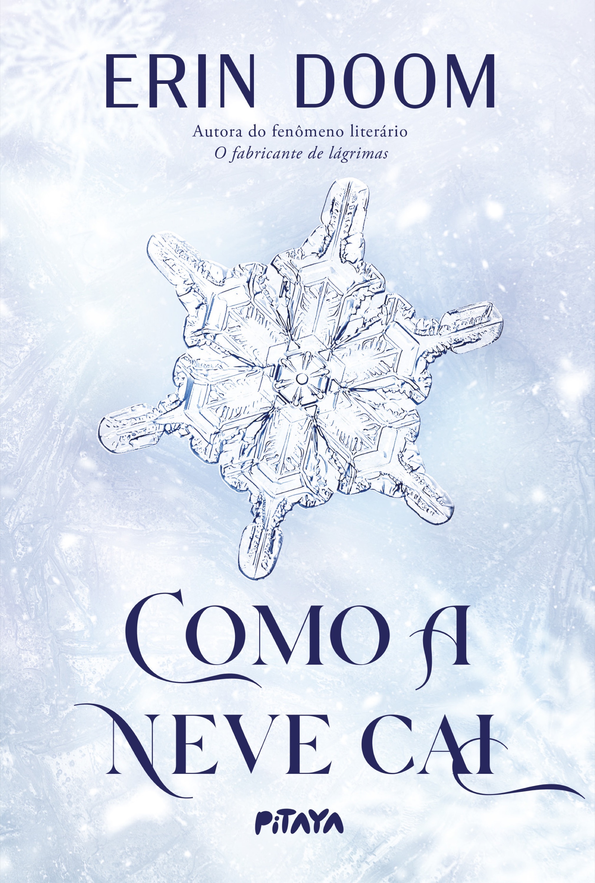 Como a neve cai – Da mesma autora do fenômeno literário 
