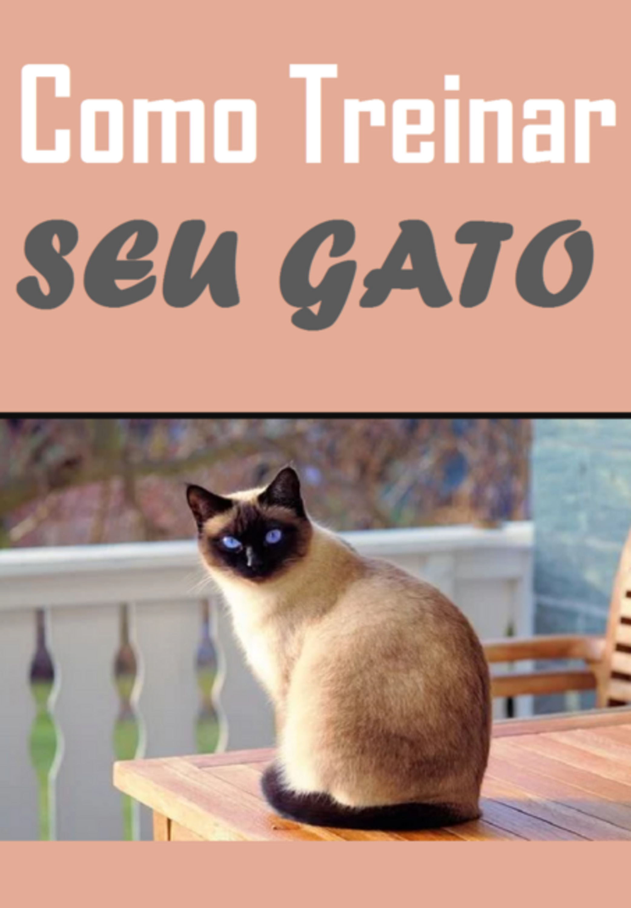 Como Treinar Seu Gato