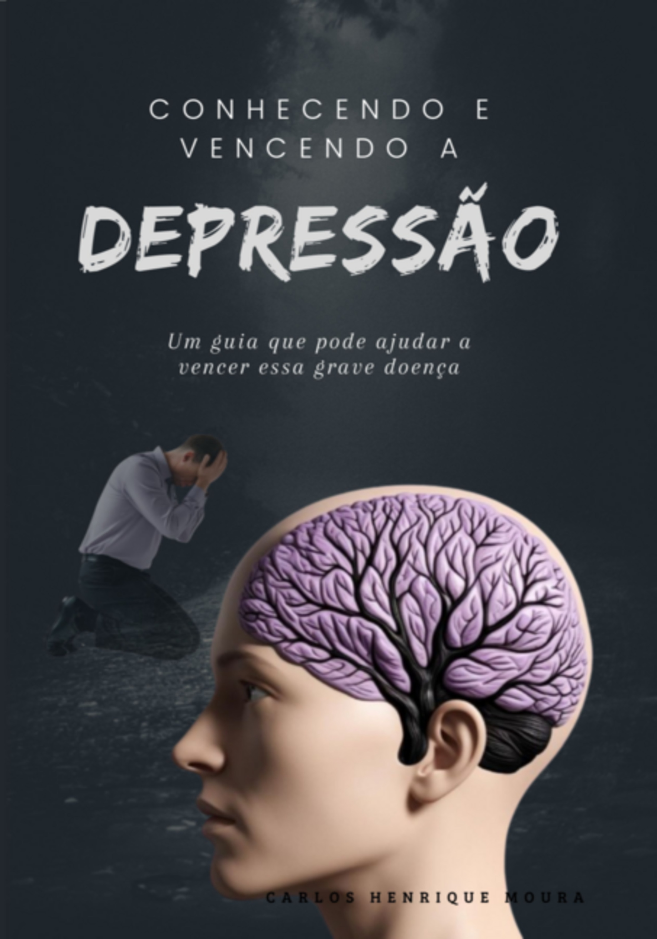 Conhecendo E Vencendo A Depressão