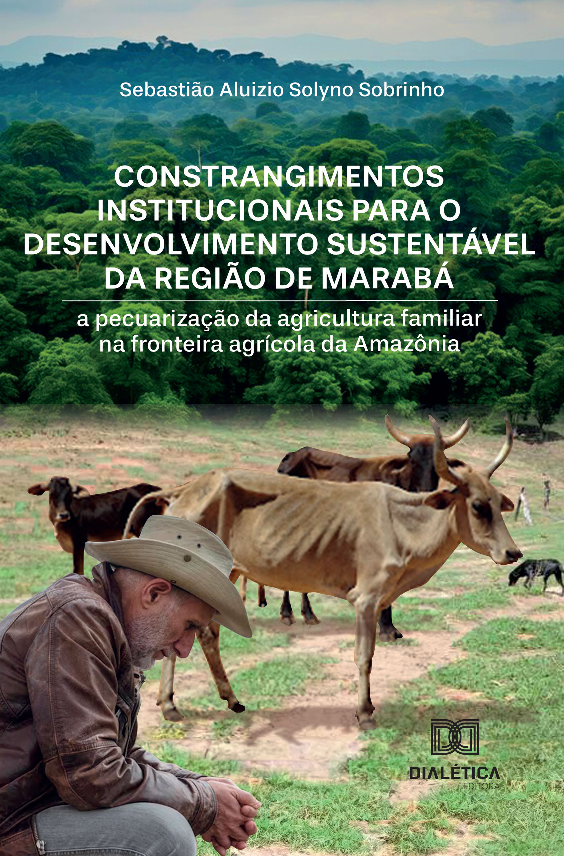 Constrangimentos institucionais para o desenvolvimento sustentável da região de Marabá