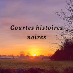 Courtes Histoires Noires