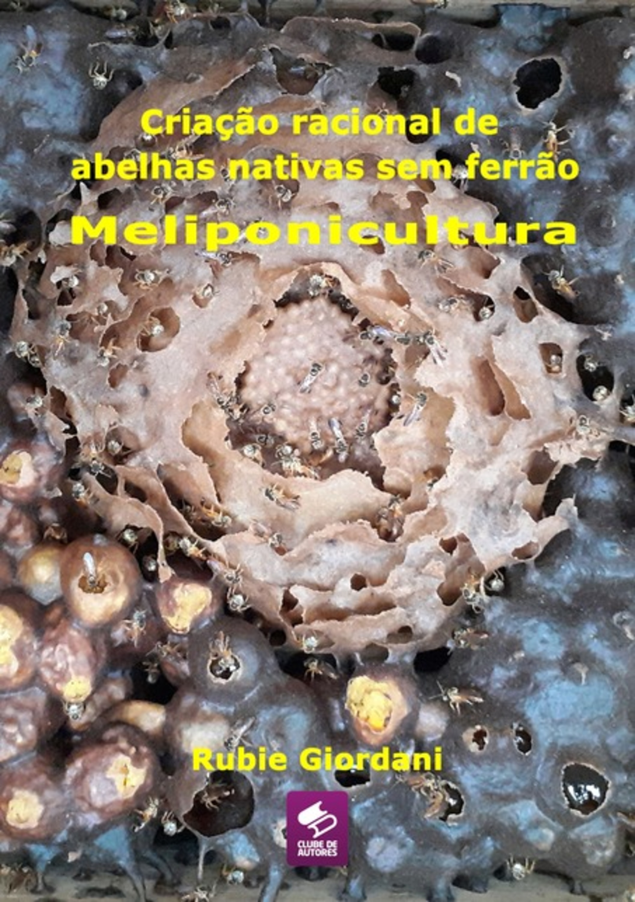 Criação Racional De Abelhas Nativas Sem Ferrão: Meliponicultura