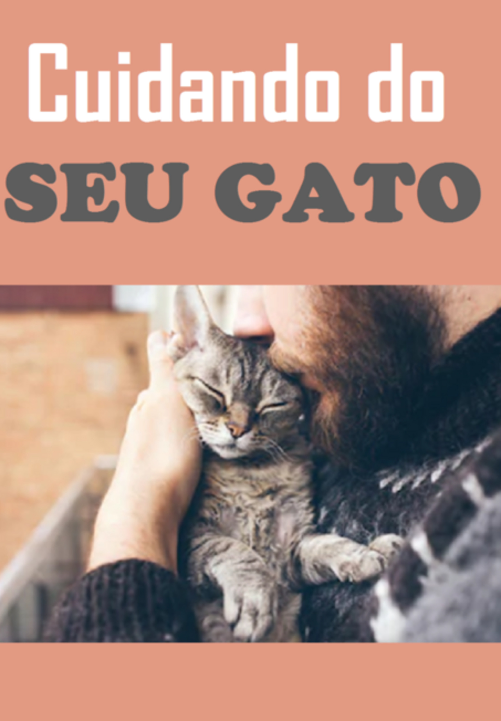 Cuidando Do Seu Gato