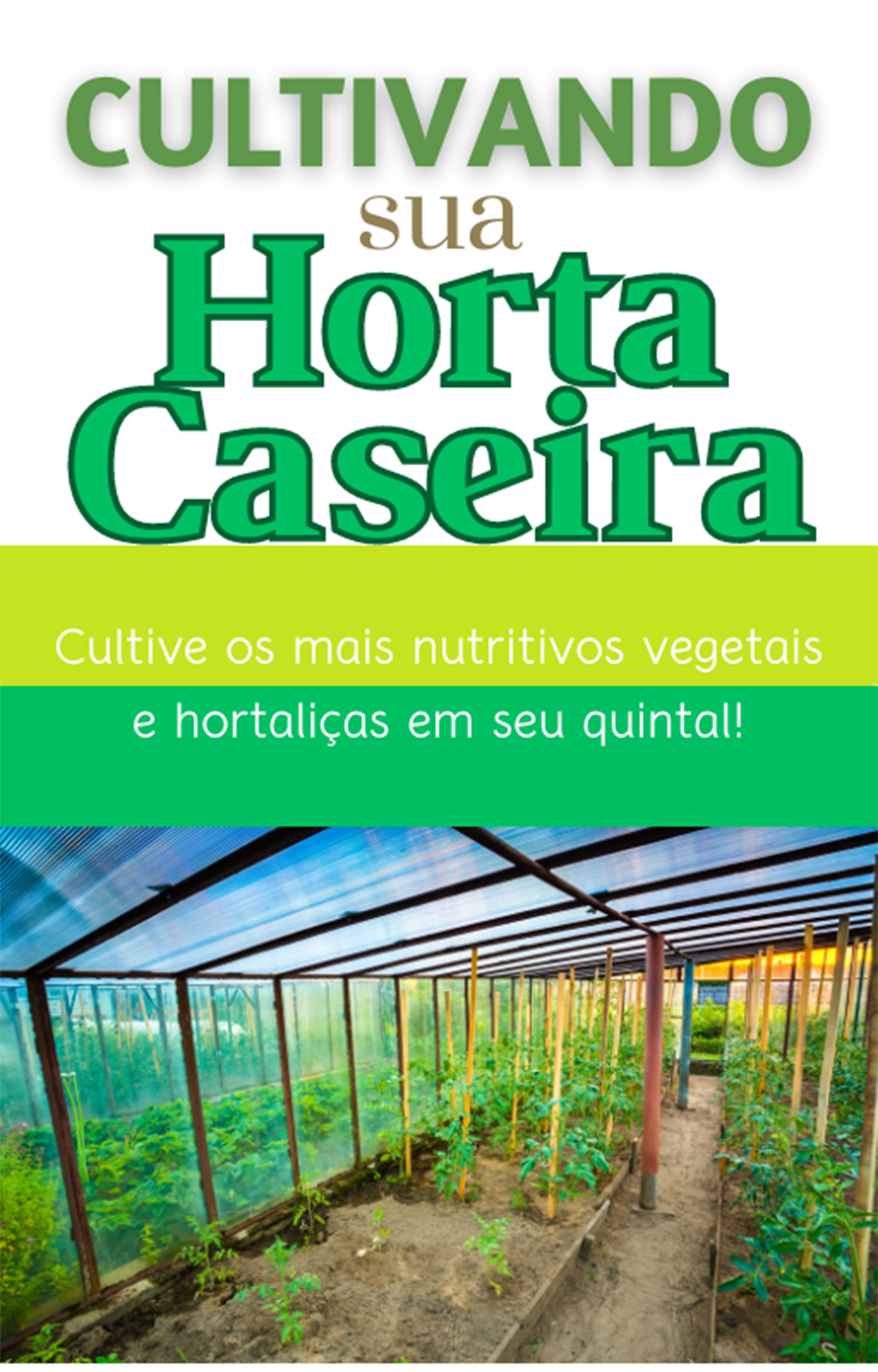 Cultivando sua horta caseira