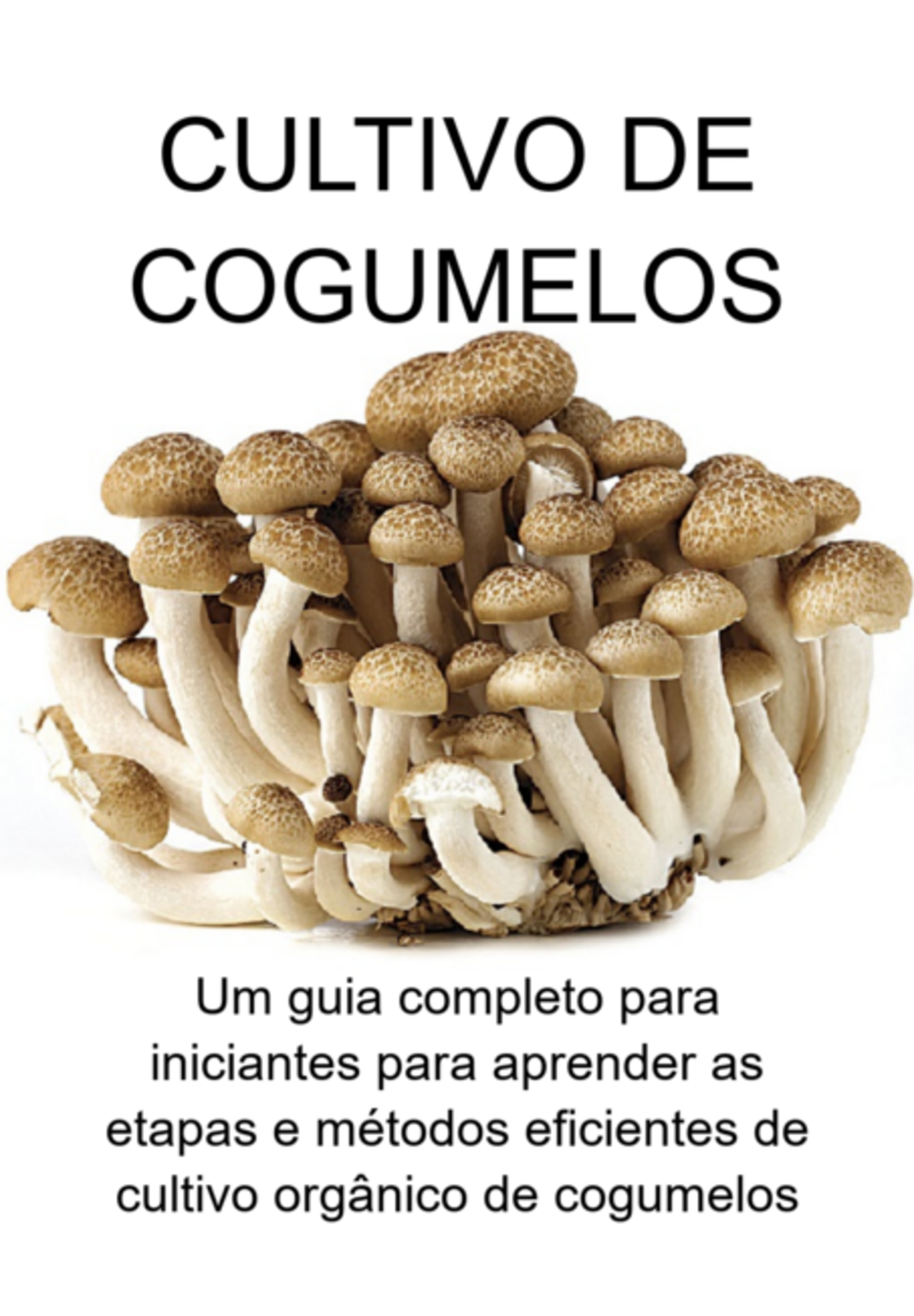 Cultivo De Cogumelos