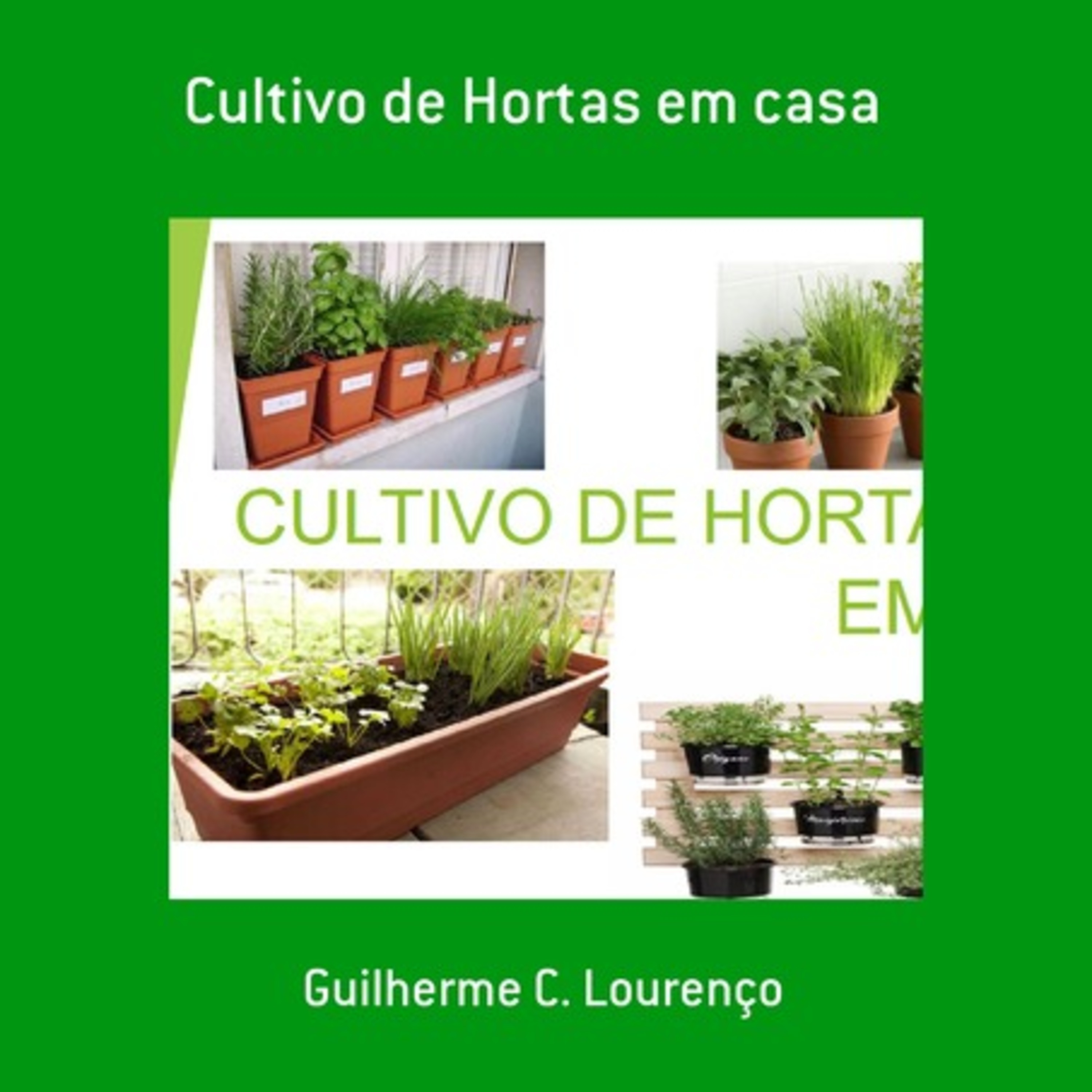 Cultivo De Hortas Em Casa