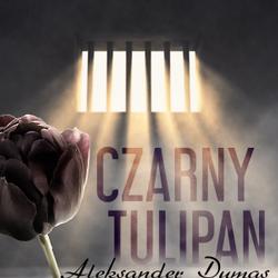 Czarny tulipan