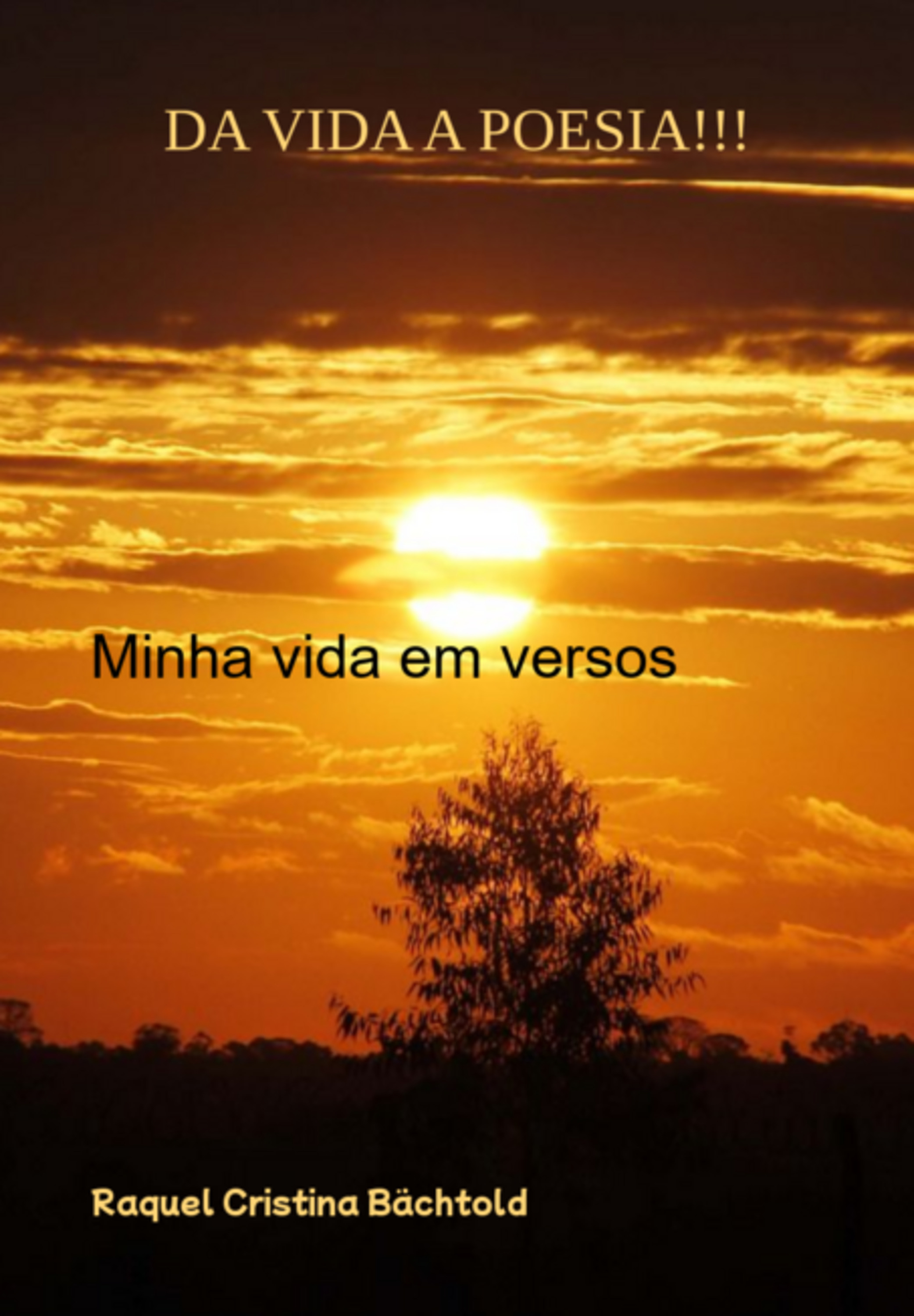 Da Vida A Poesia!!!