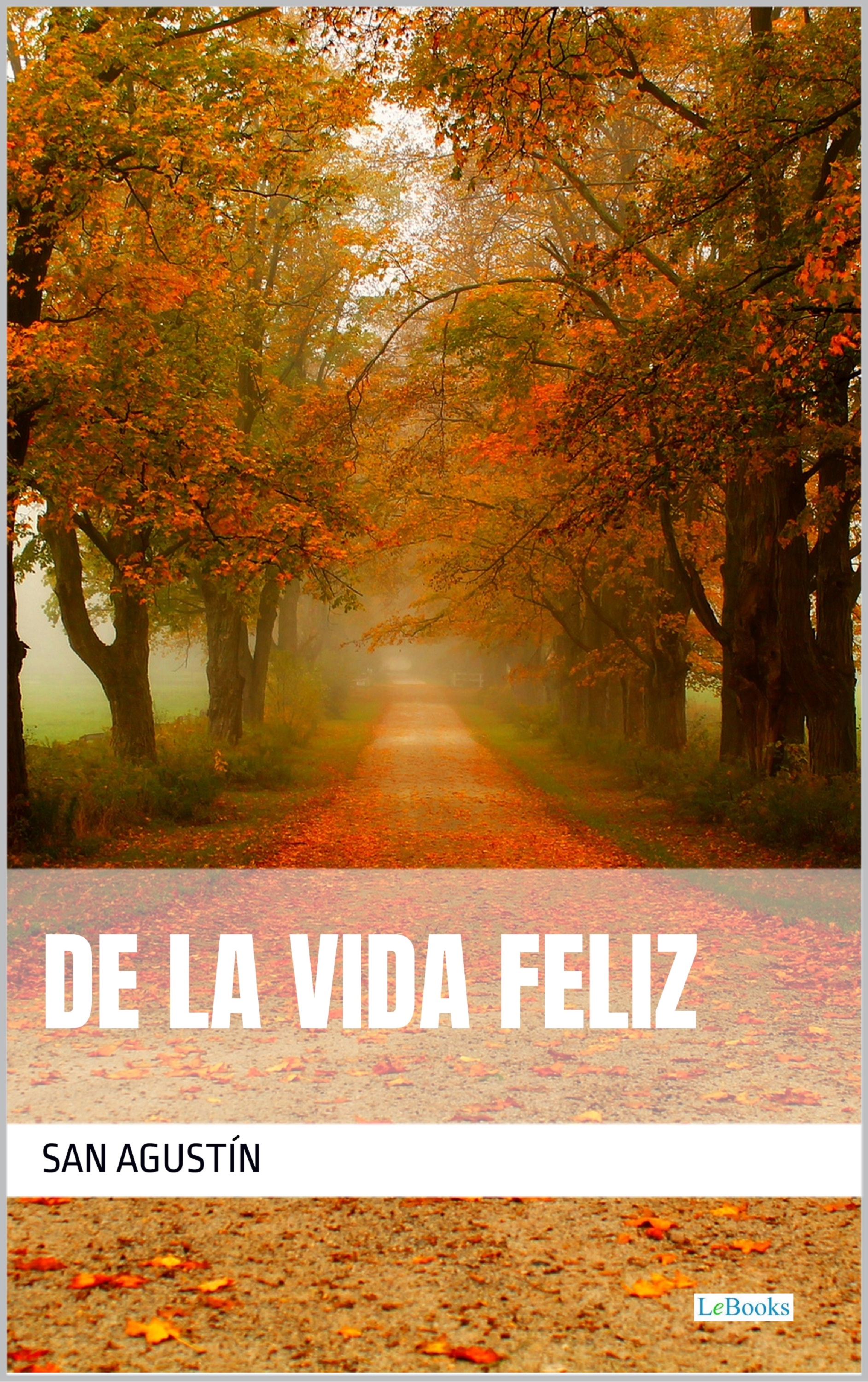 De la Vida Feliz - San Agustín