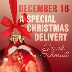 December 16: A Special Christmas Delivery – An Erotic Christmas Calendar