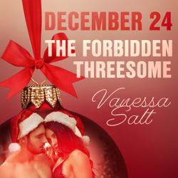 December 24: The Forbidden Threesome – An Erotic Christmas Calendar