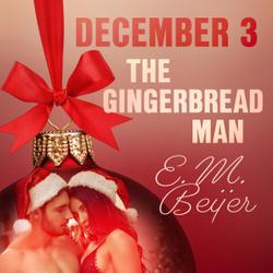 December 3: The Gingerbread Man - An Erotic Christmas Calendar