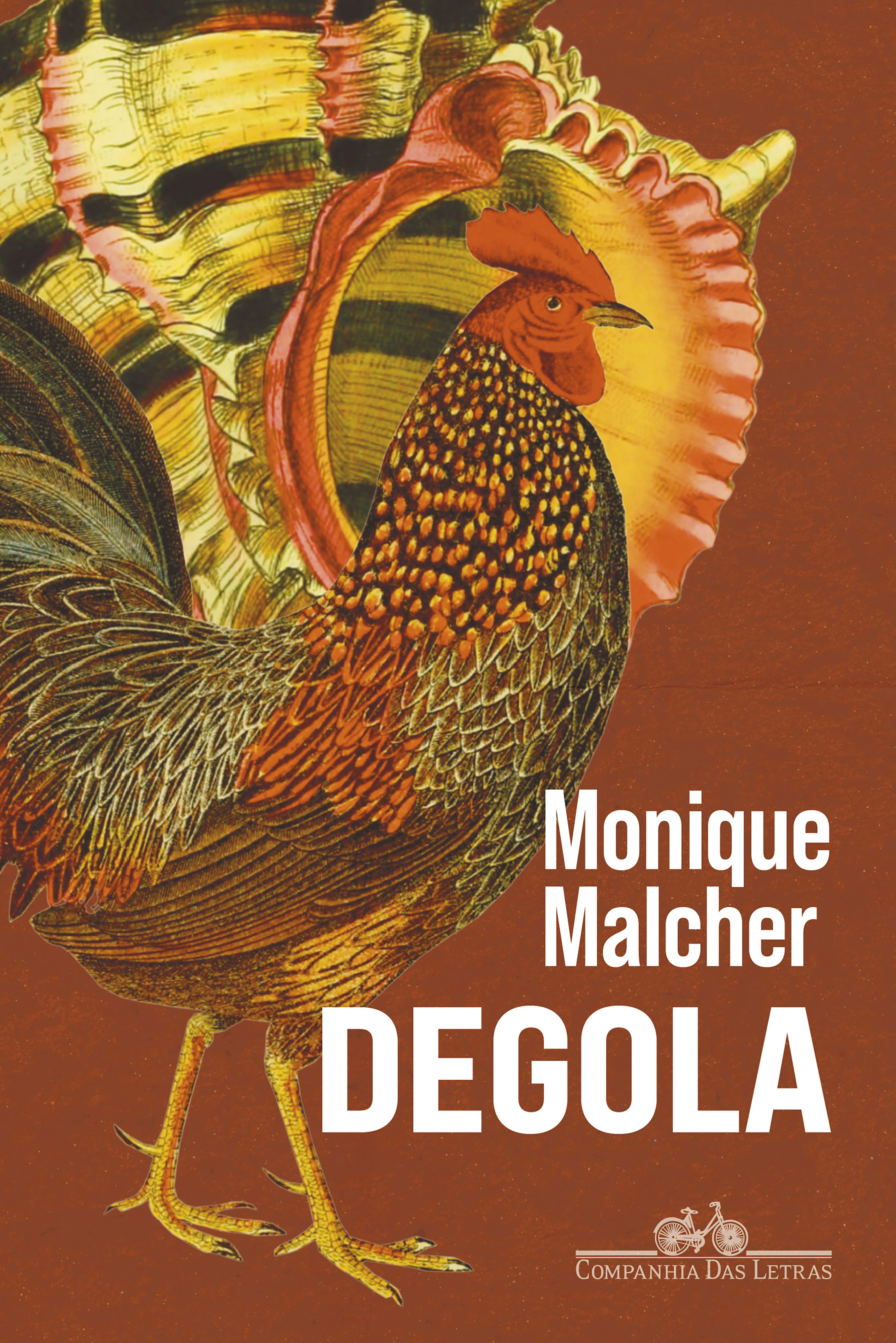 Degola