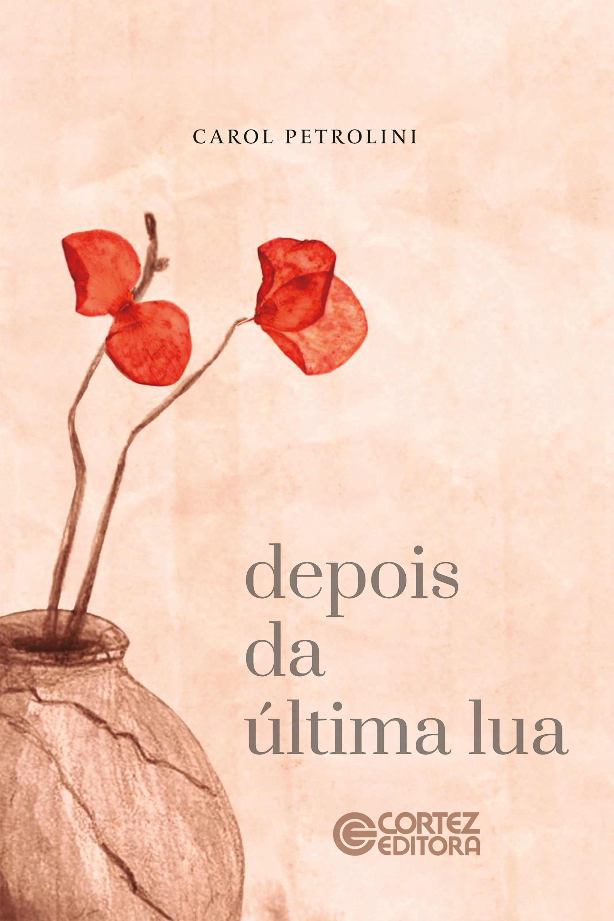 Depois da última lua