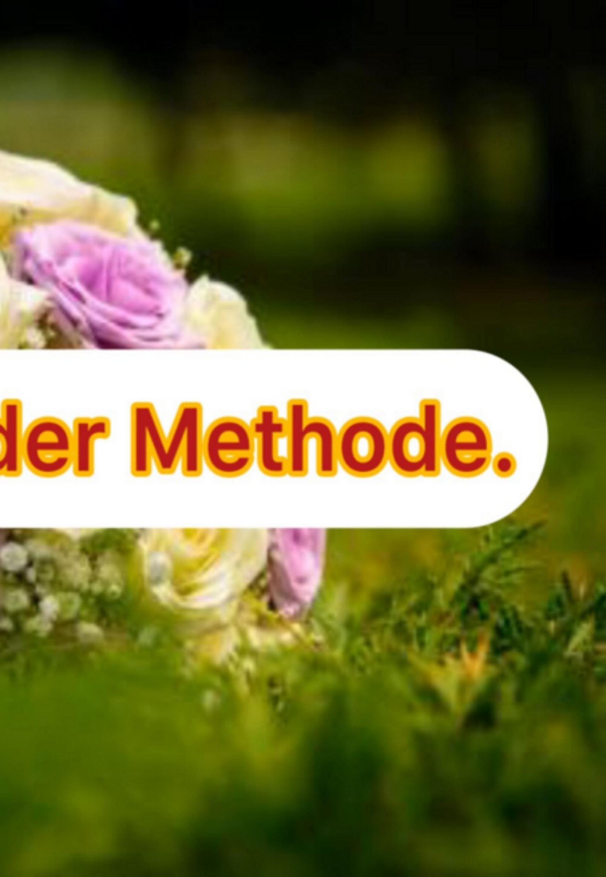 Der Diskurs Der Methode.