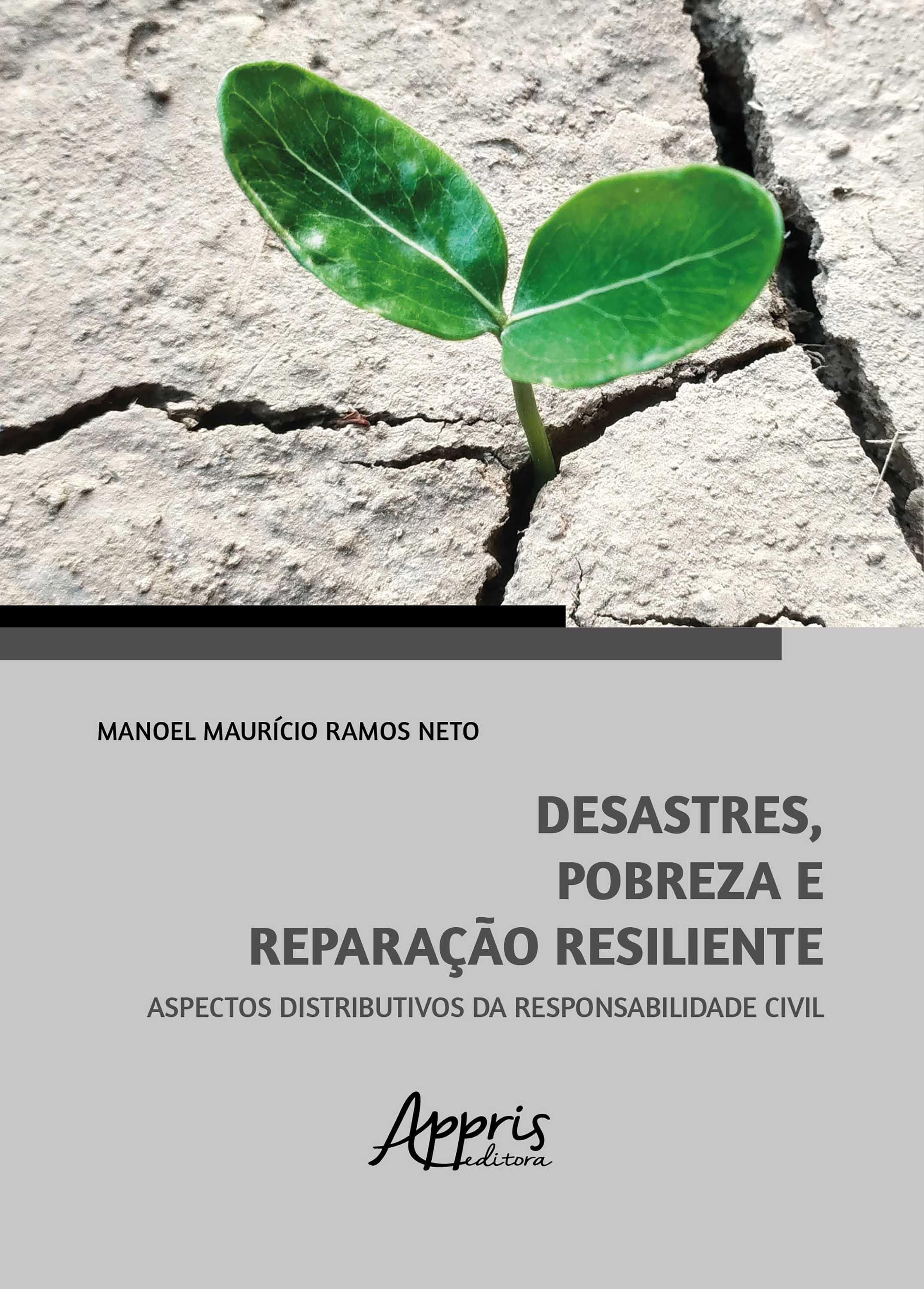 Desastres, Pobreza e Reparação Resiliente: Aspectos Distributivos da Responsabilidade Civil