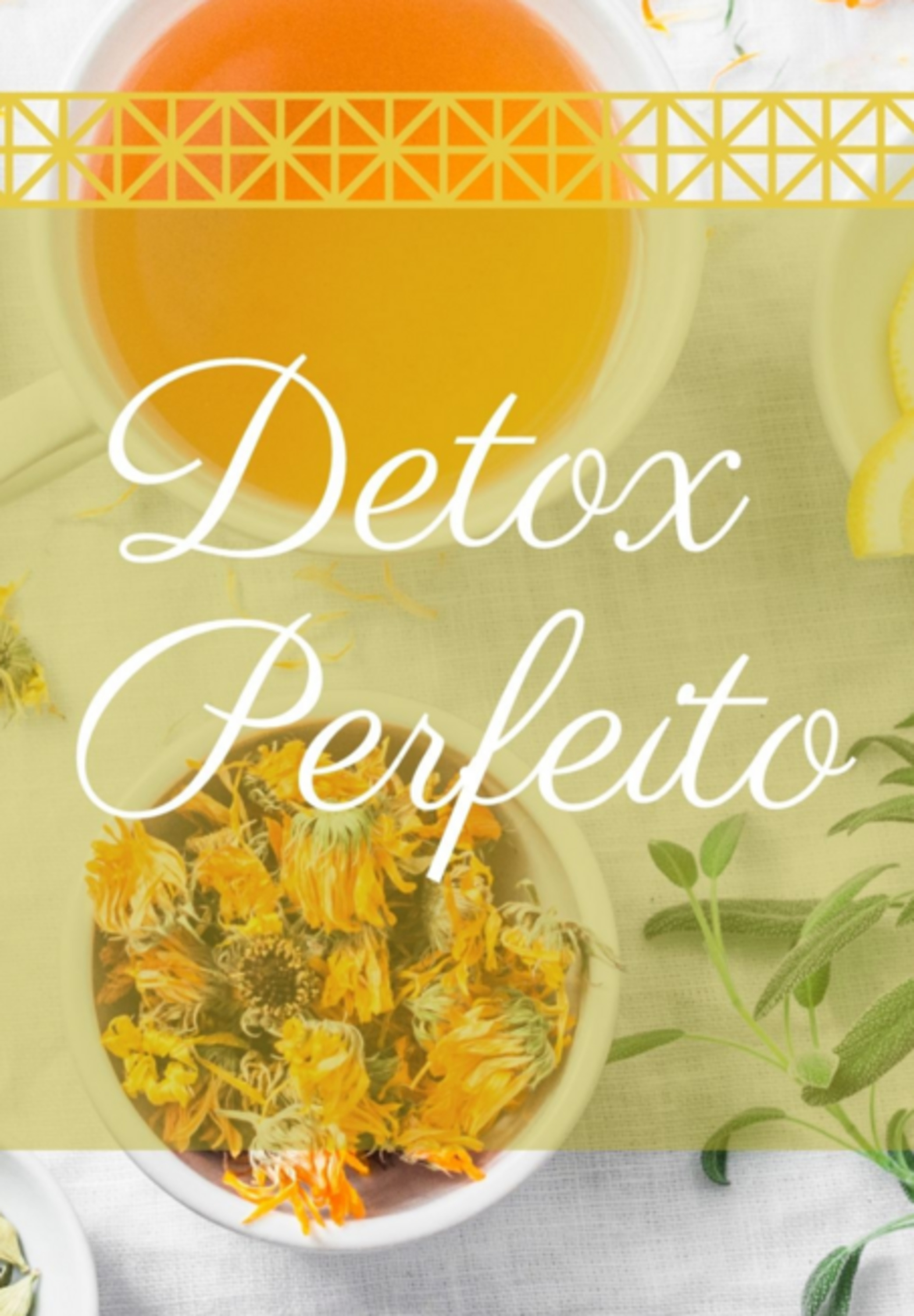 Detox Perfeito