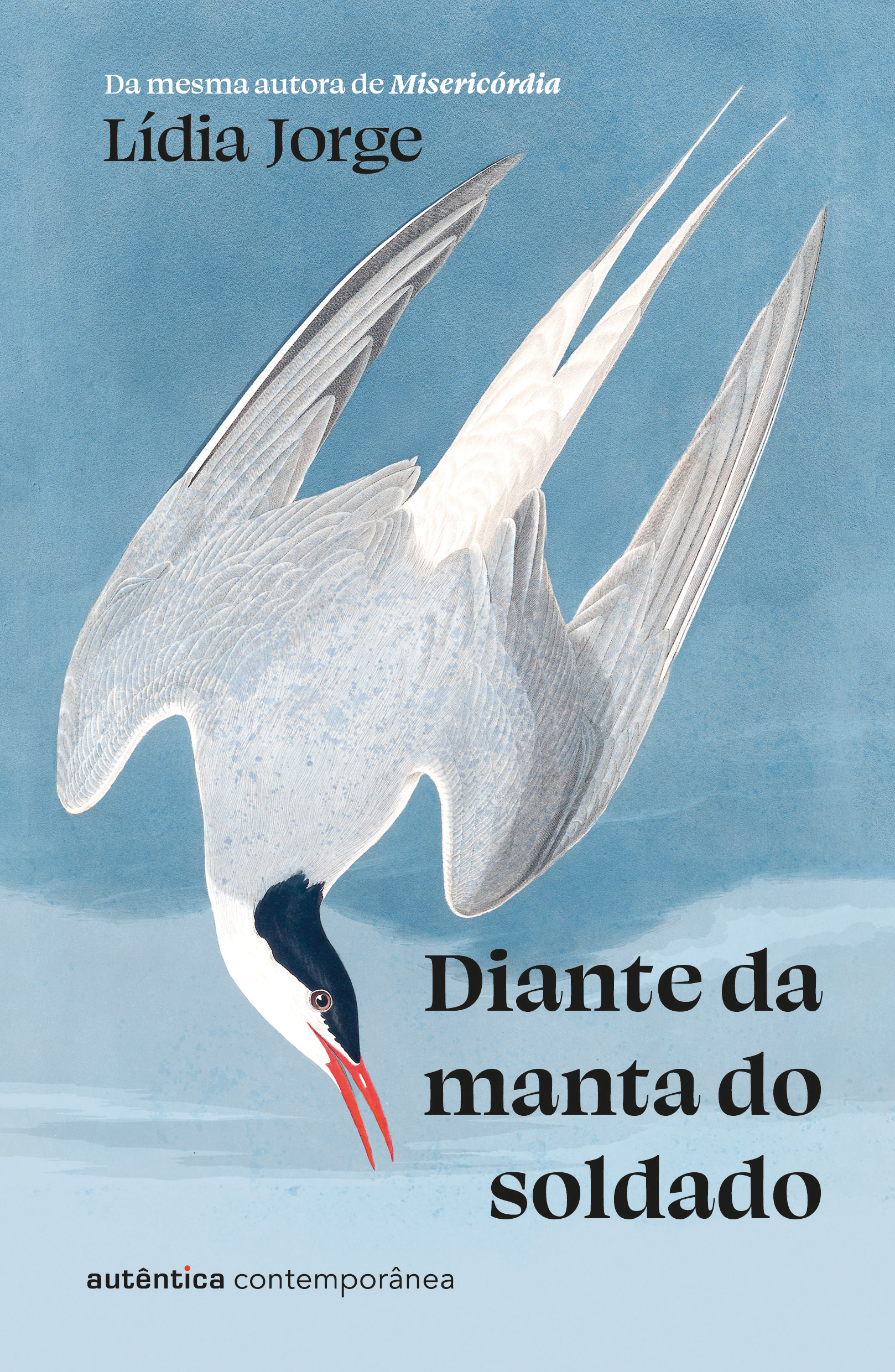 Diante da manta do soldado (da mesma autora de Misericórdia)