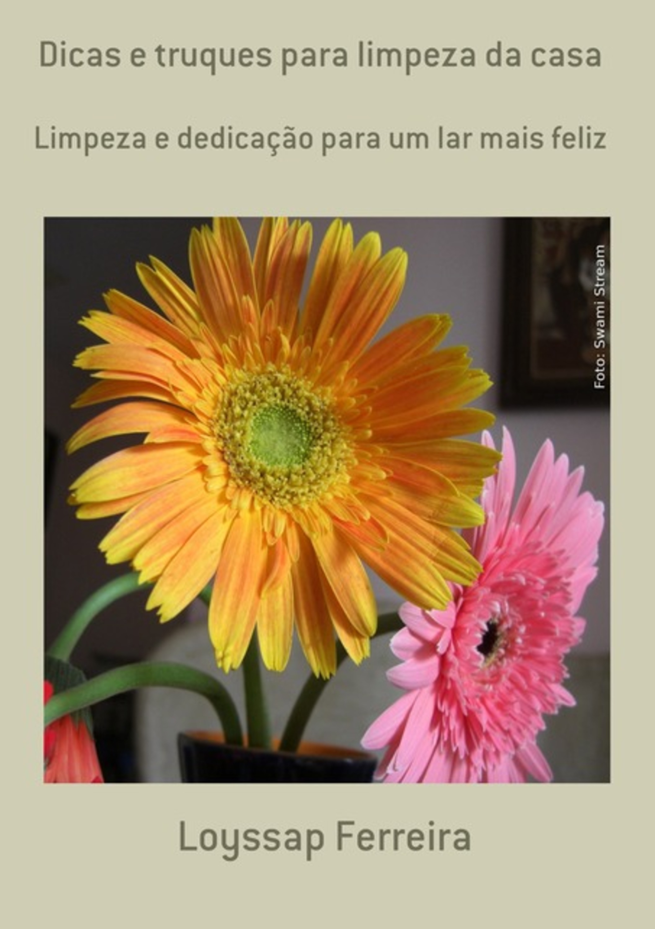Dicas E Truques Para Limpeza Da Casa