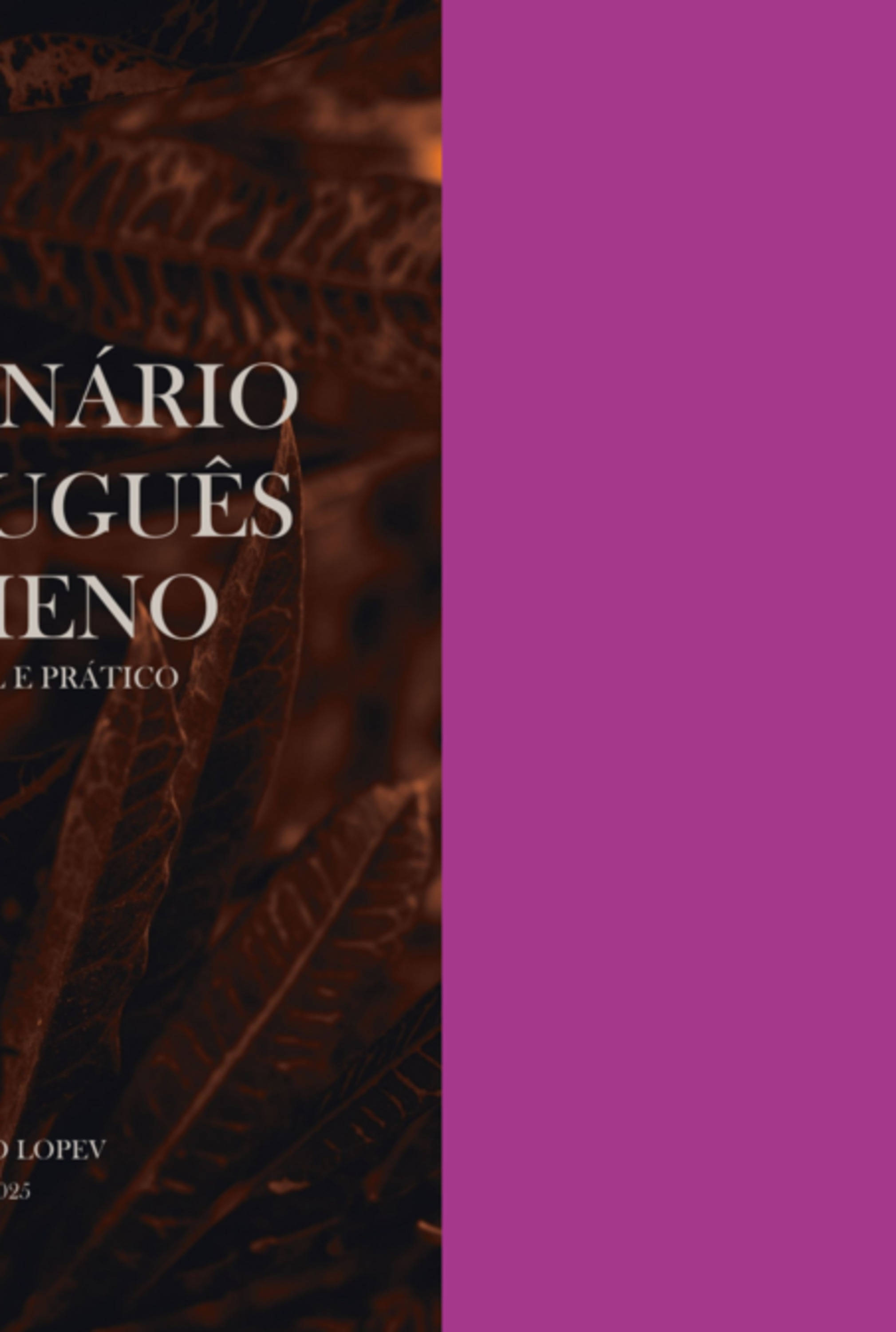 Dicionário Português–romeno