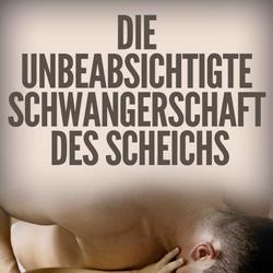 Die unbeabsichtigte Schwangerschaft des Scheichs (Die Botros Brüder-Serie 1)