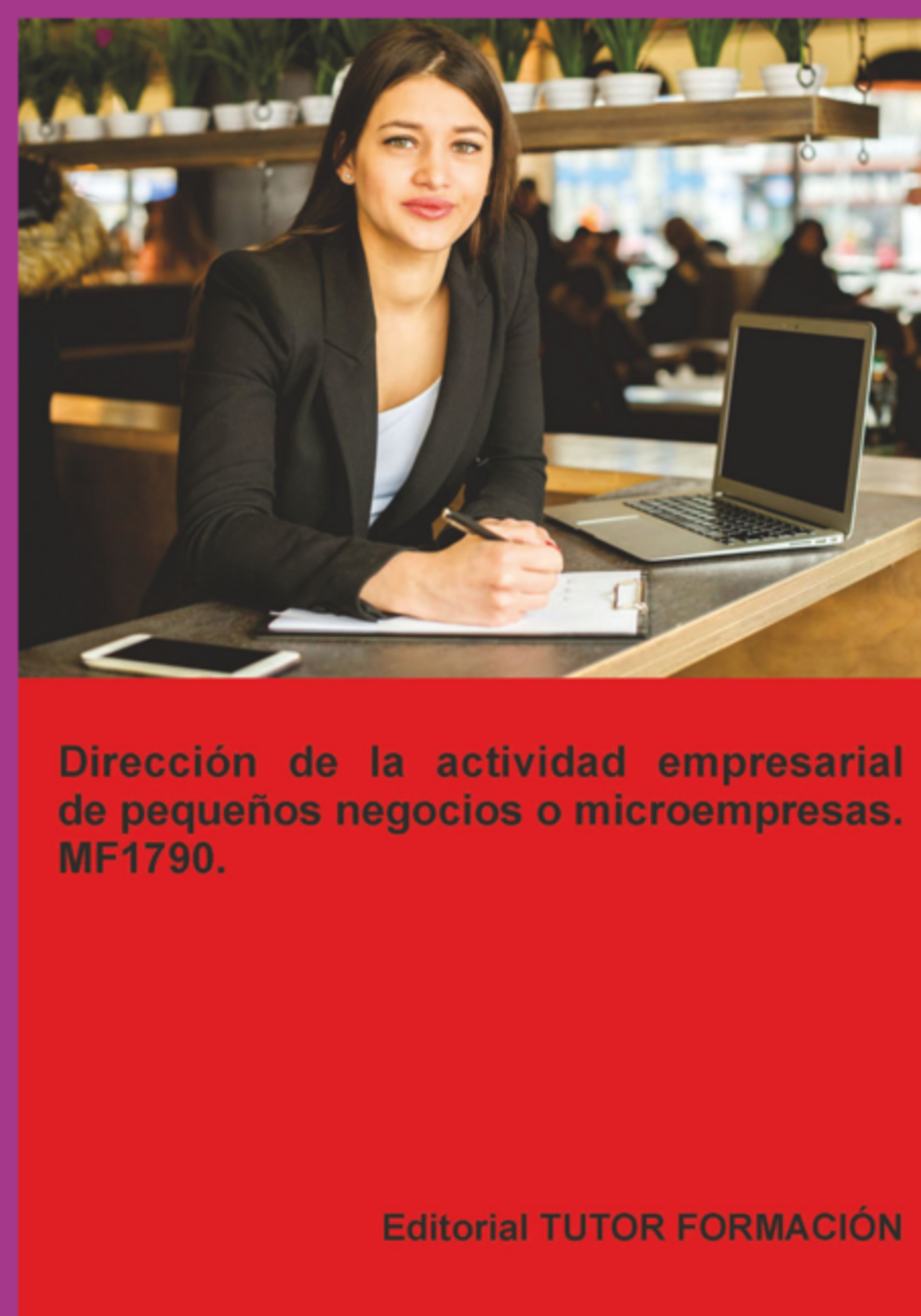 Dirección De La Actividad Empresarial De Pequeños Negocios O Microempresas. Mf1789.