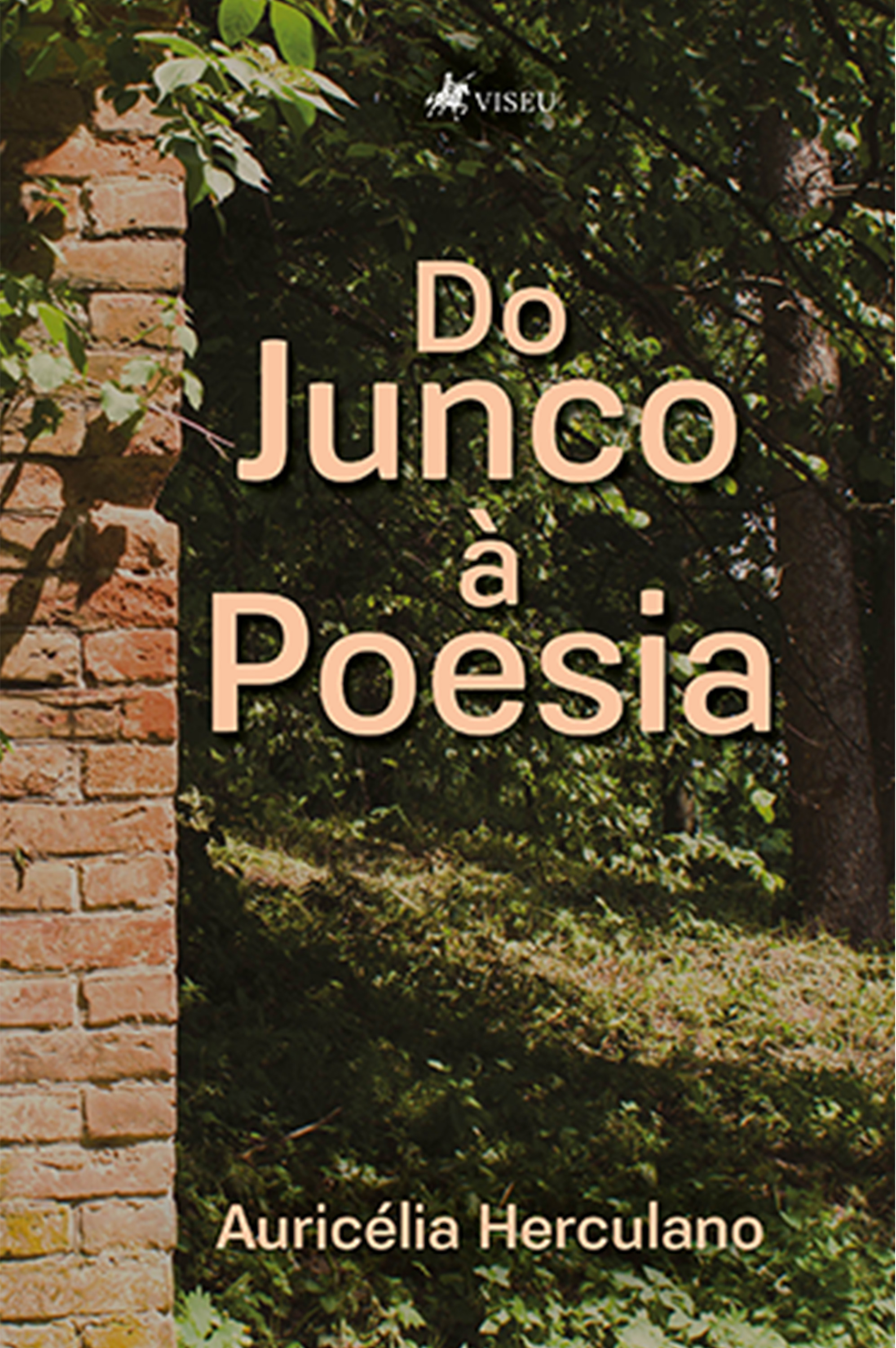 Do Junco à Poesia