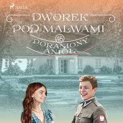 Dworek pod Malwami 46 - Poraniony anioł