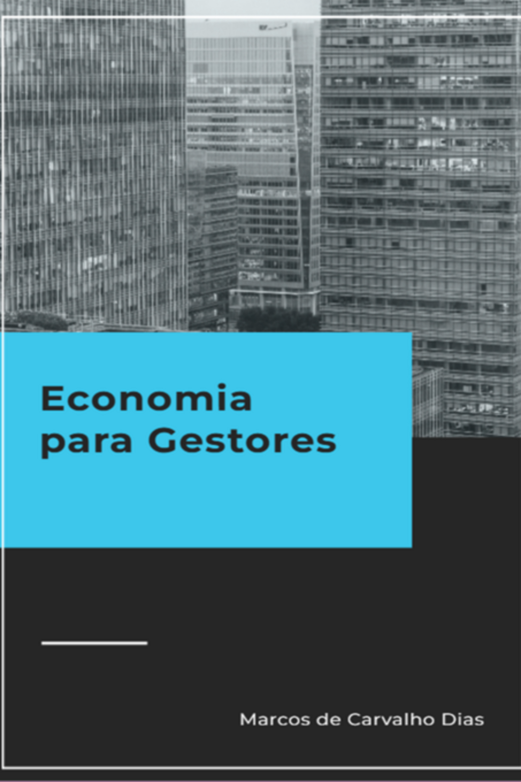 Economia Para Gestores