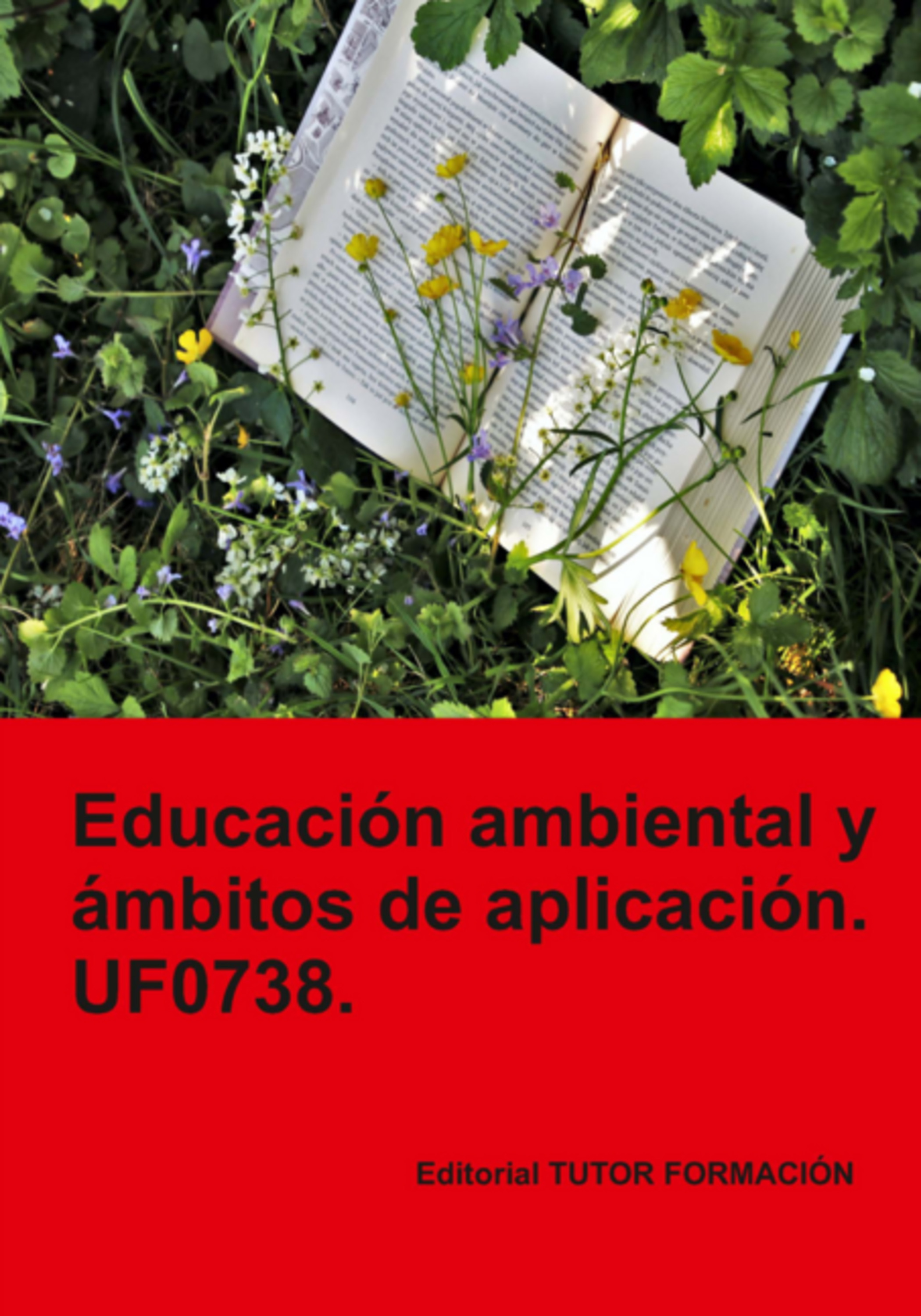 Educación Ambiental Y Ámbitos De Aplicación. Uf0738.