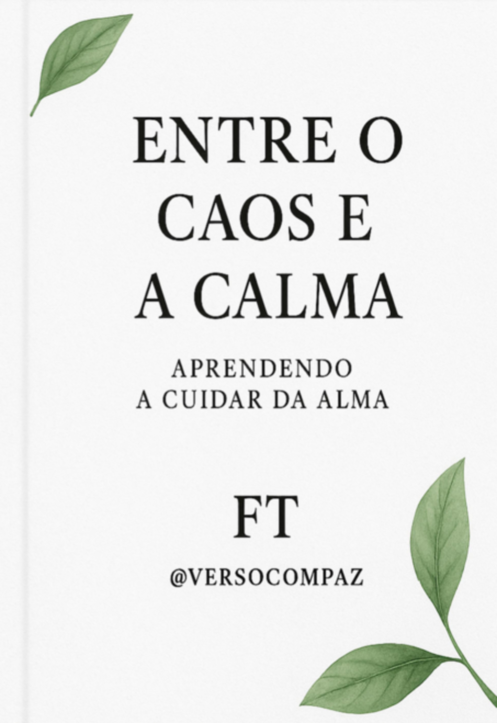 Entre O Caos E A Calma: Aprendendo A Cuidar Da Alma