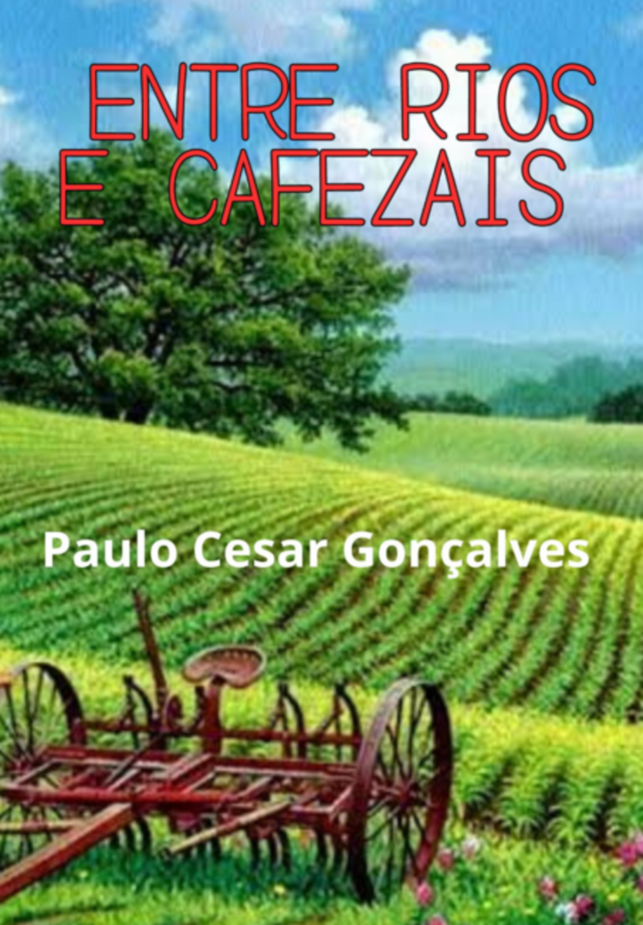 Entre Rios E Cafezais