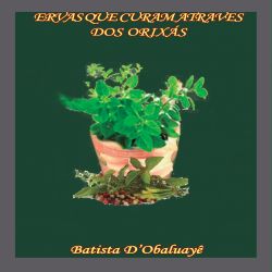 Ervas que curam através dos Orixás