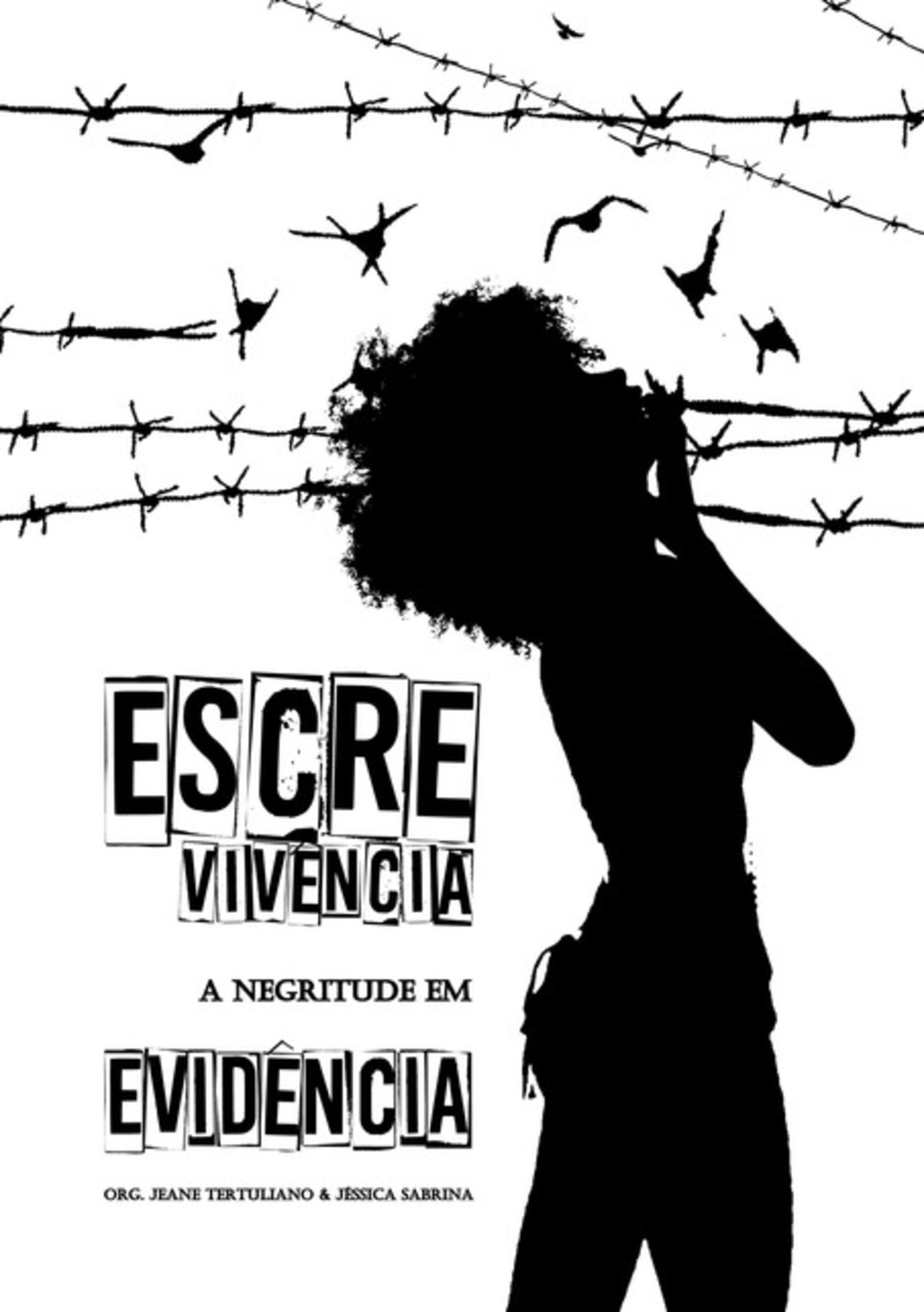 Escrevivência: A Negritude Em Evidência