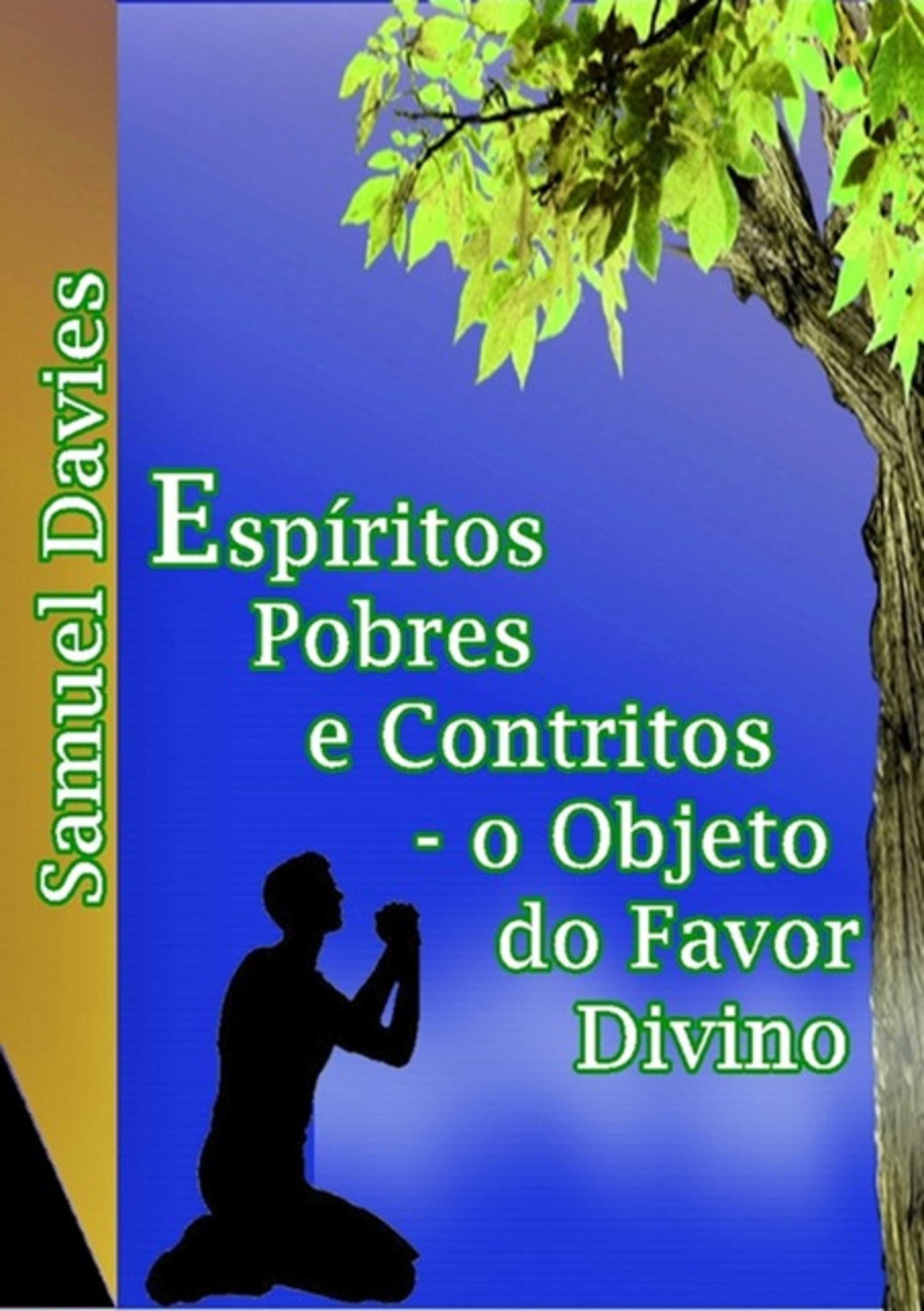 Espíritos Pobres E Contritos - O Objeto Do Favor Divino