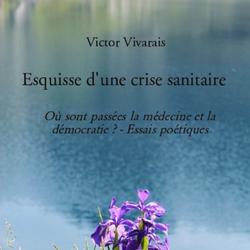 Esquisse d'une crise sanitaire