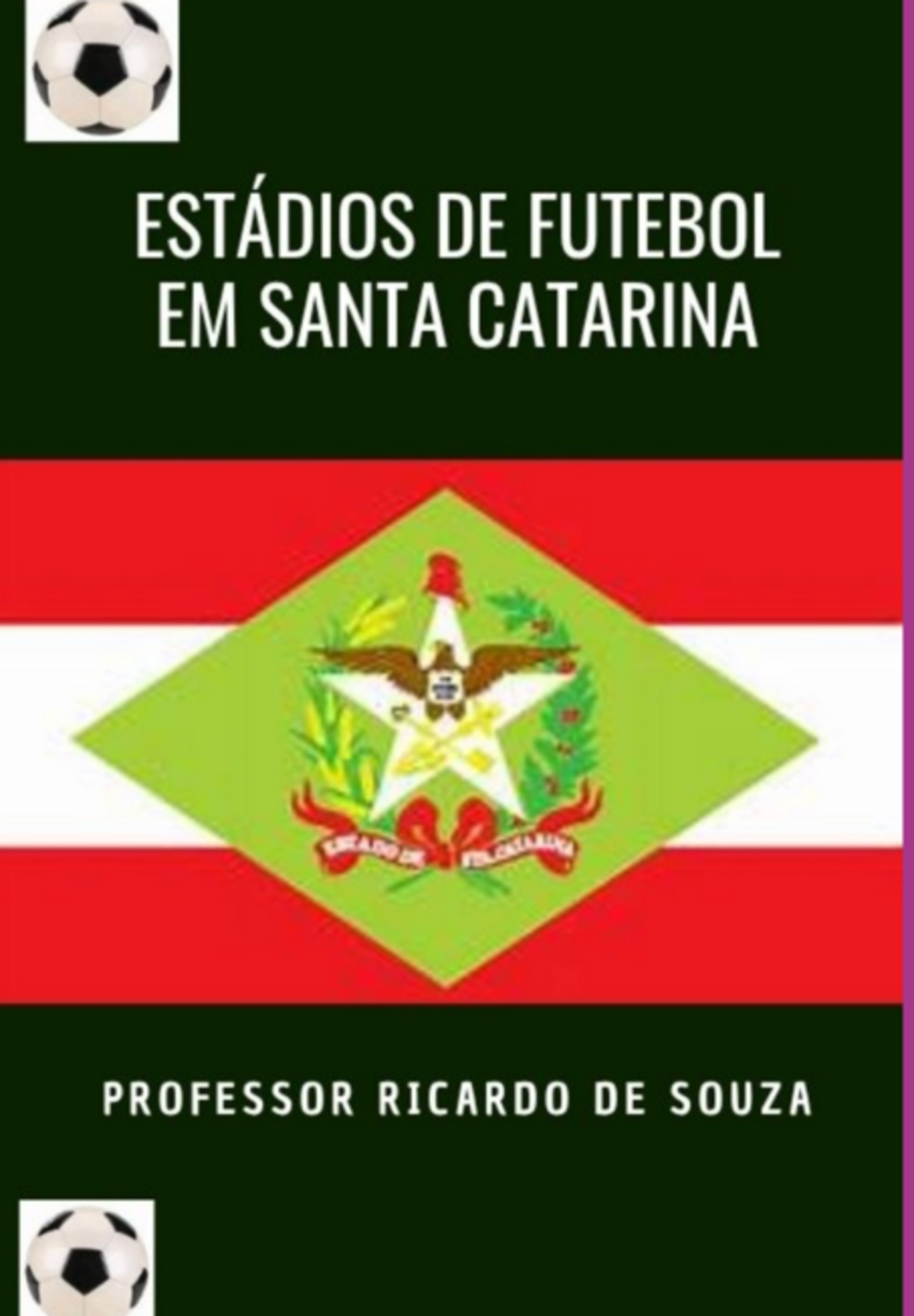 Estádios De Futebol De Santa Catarina