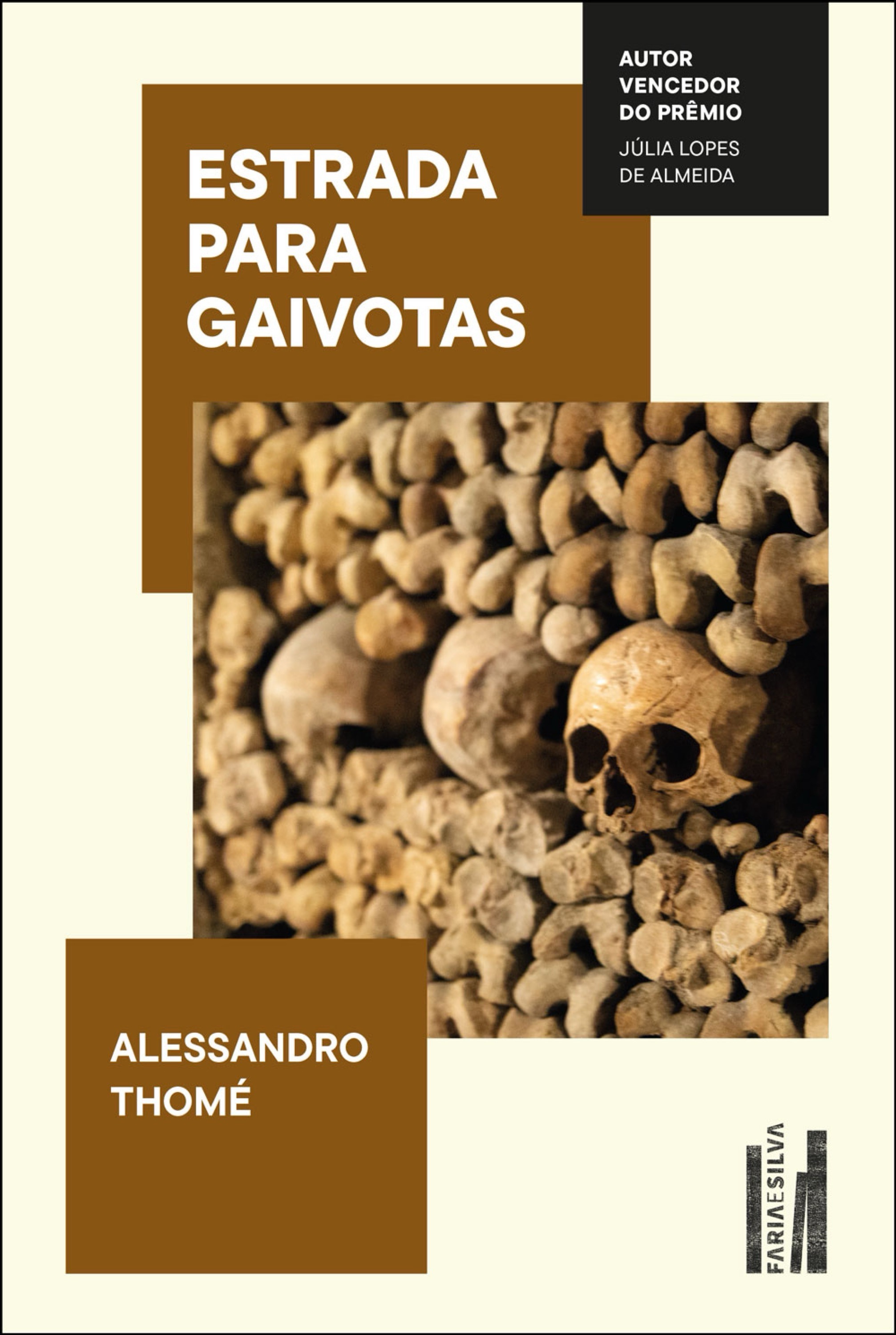 Estrada para gaivotas