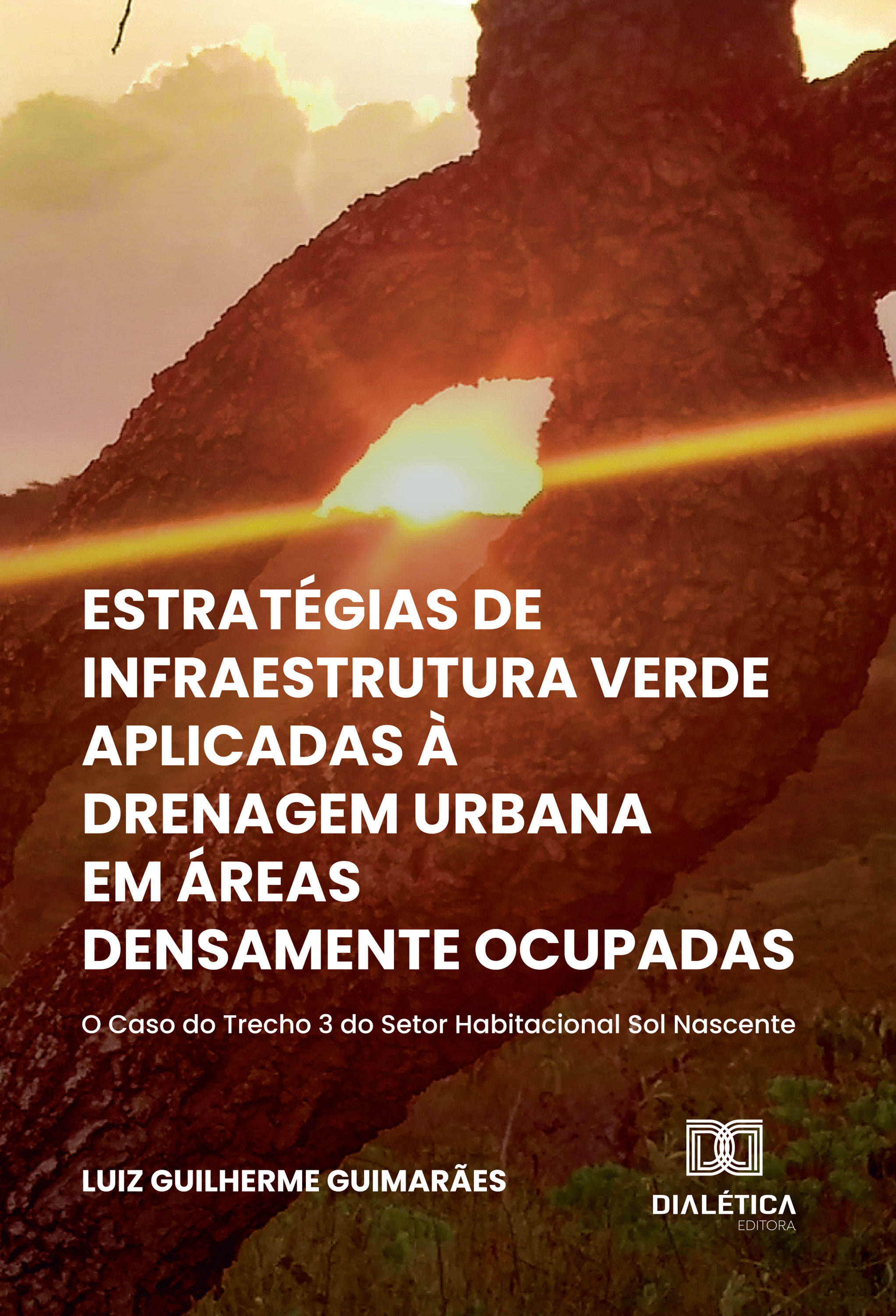 Estratégias de Infraestrutura Verde Aplicadas à Drenagem Urbana em Áreas Densamente Ocupadas