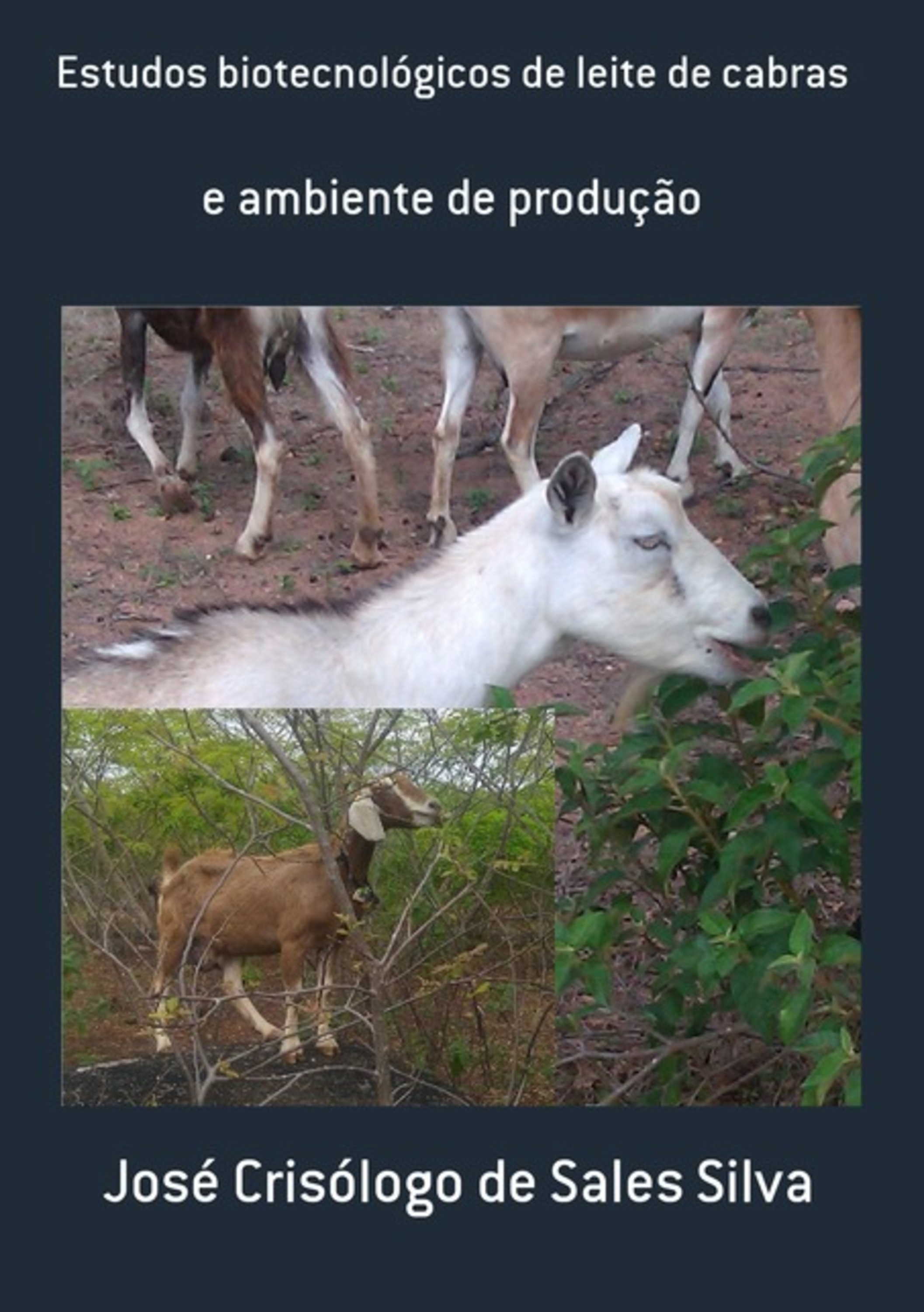 Estudos Biotecnológicos De Leite De Cabras